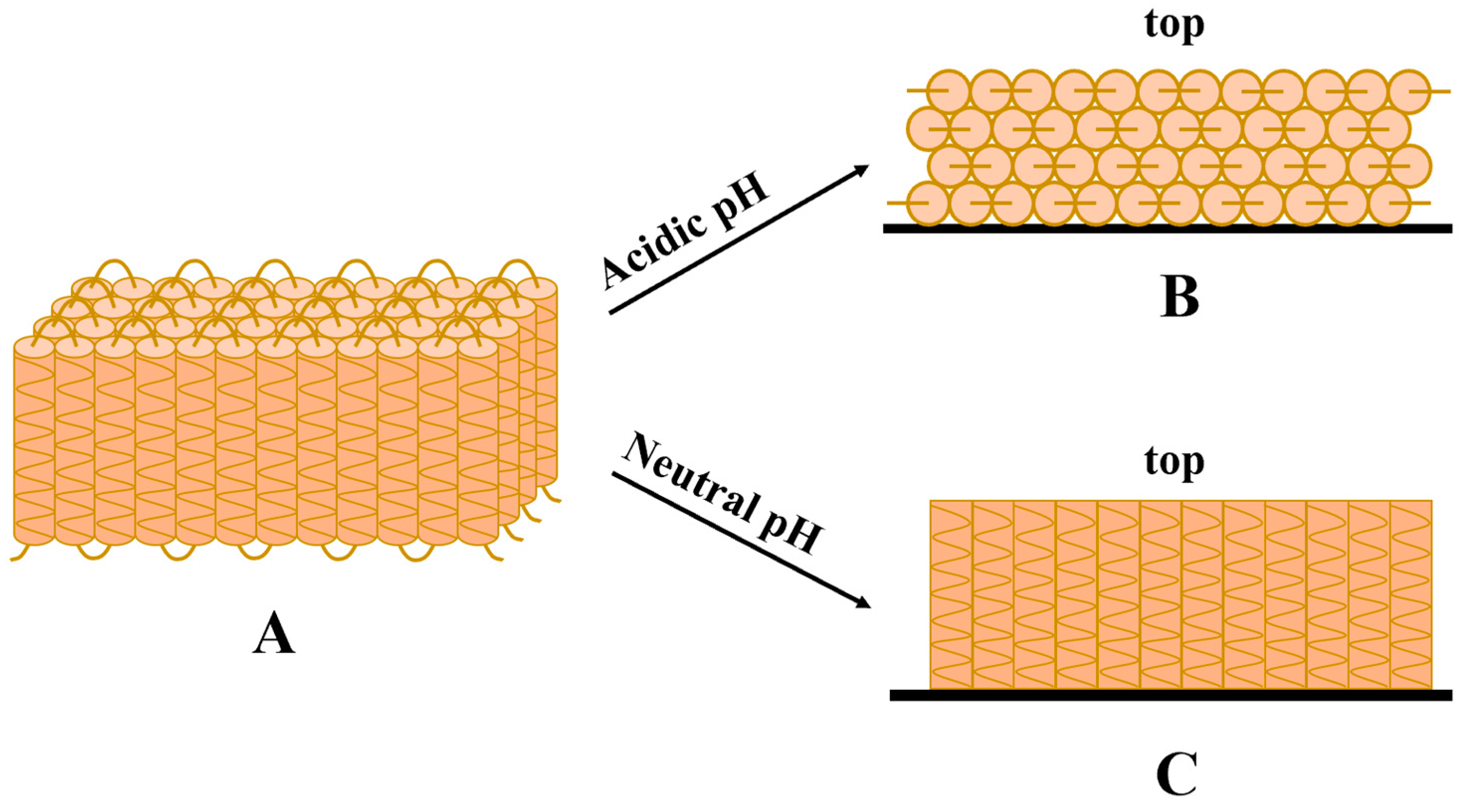 Molecules 28 07800 g002
