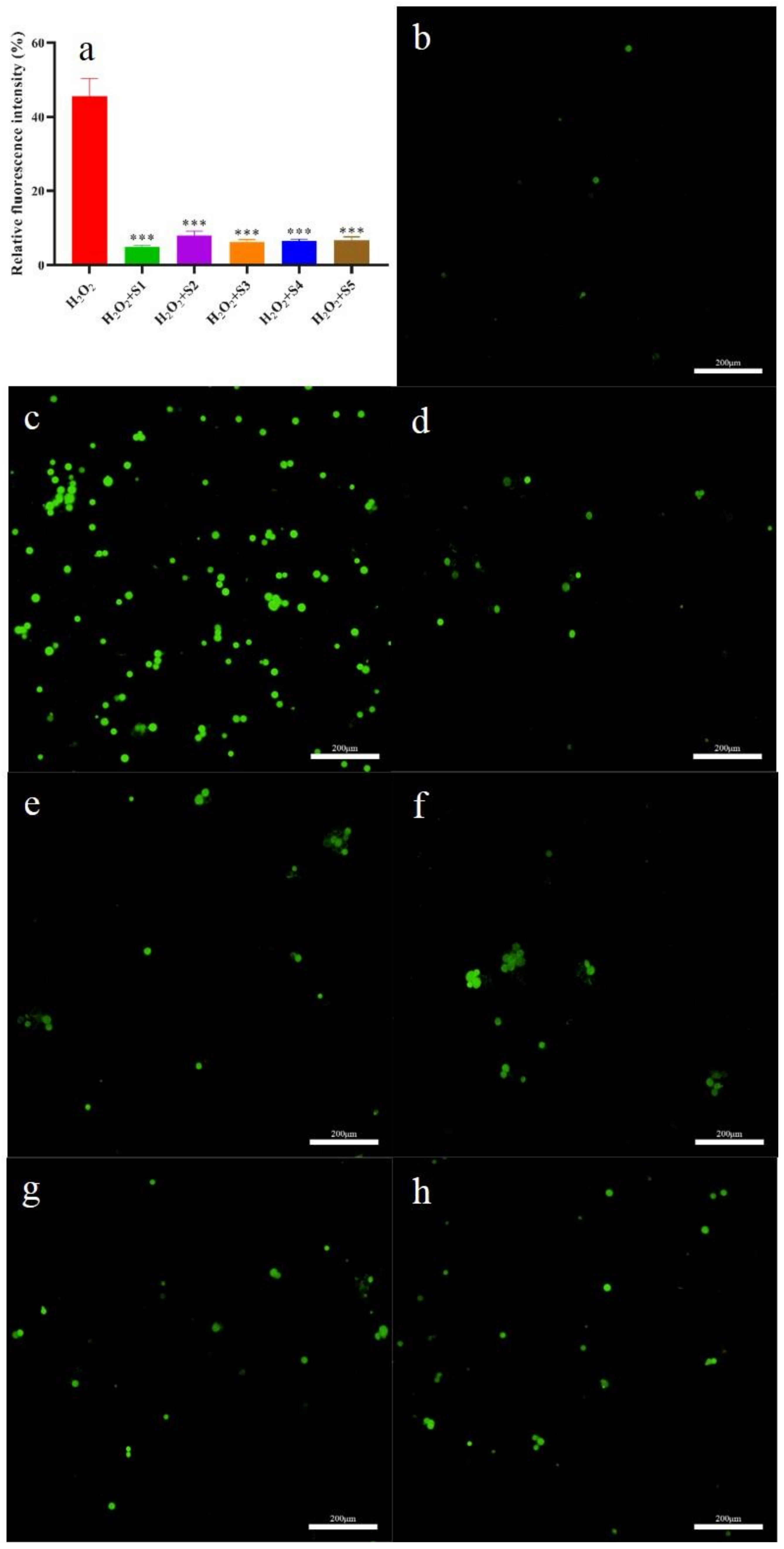 Molecules 28 07803 g007