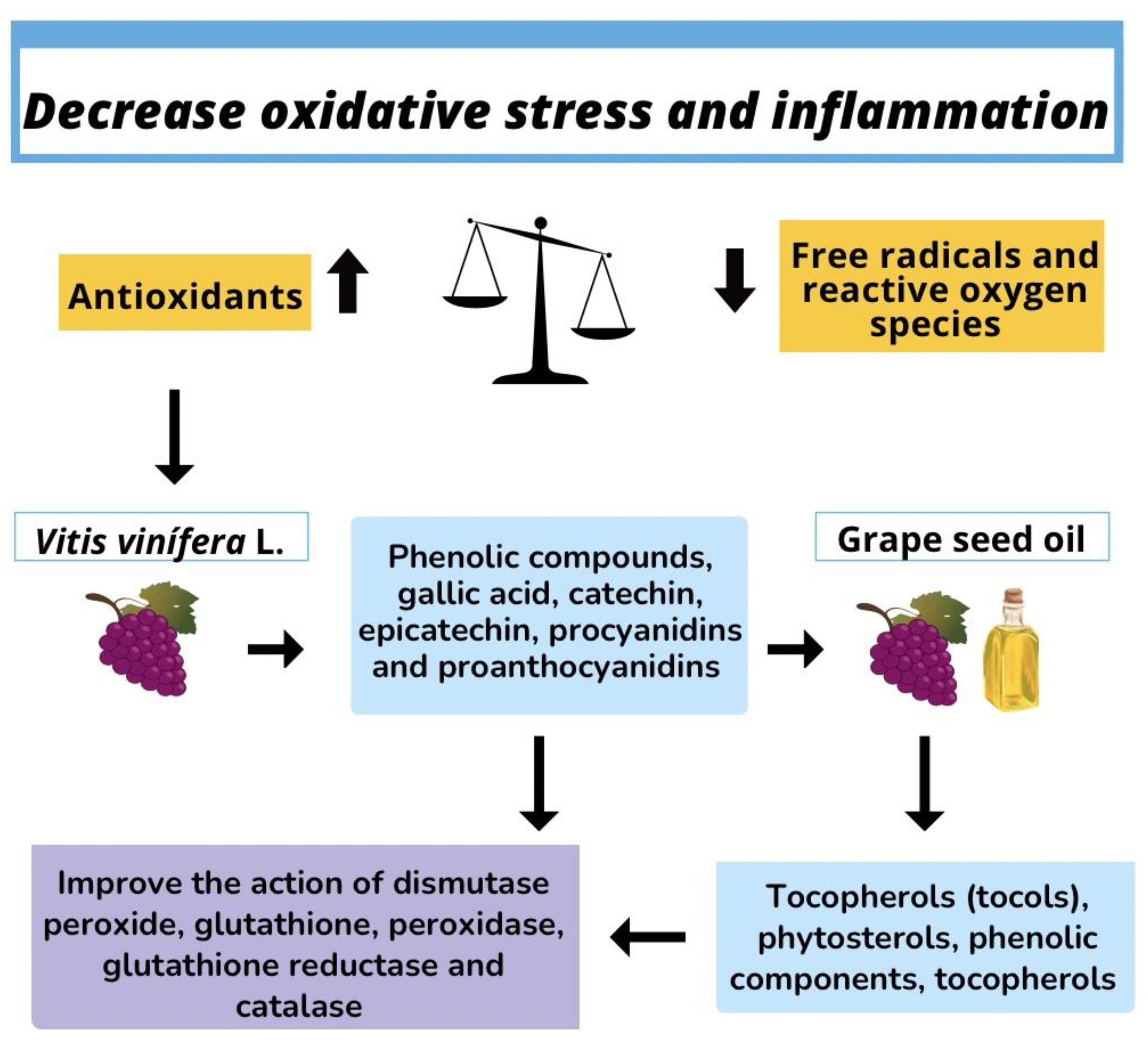 Molecules 28 07811 g002