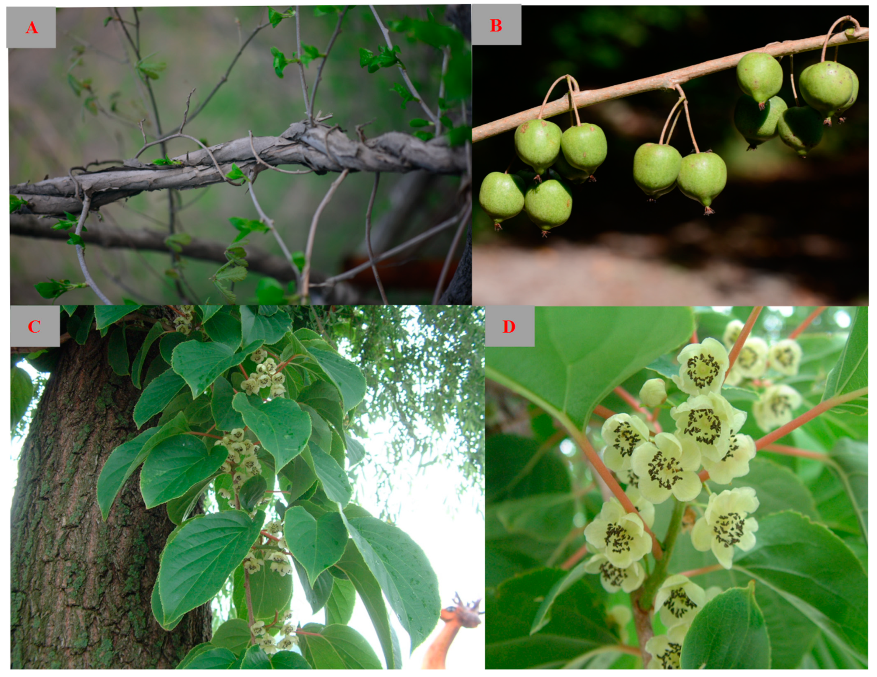 Molecules 28 07820 g001