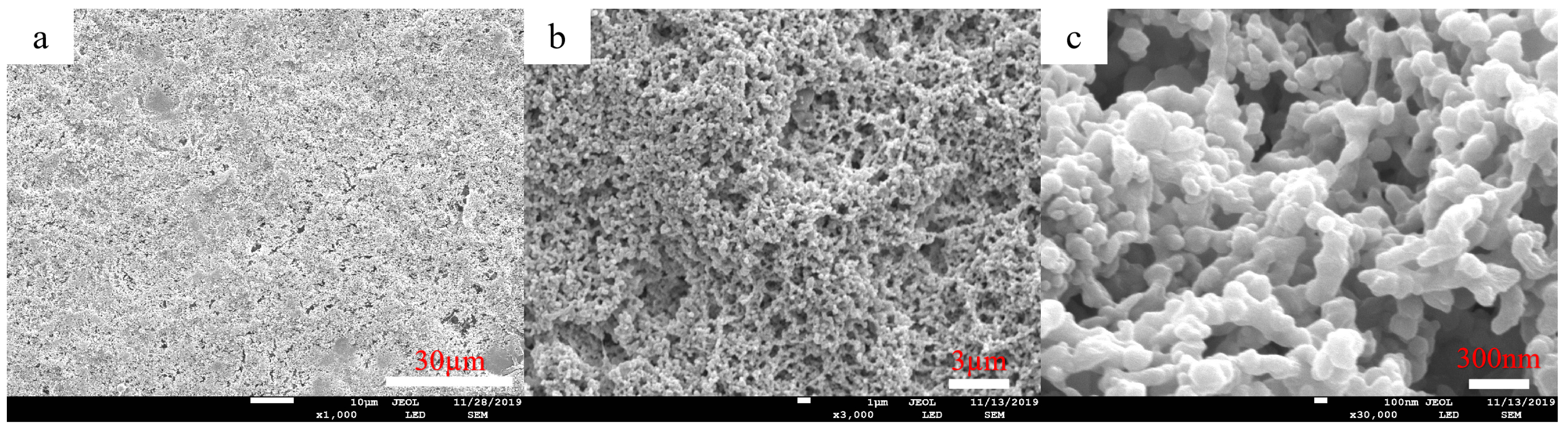 Molecules 28 07821 g008