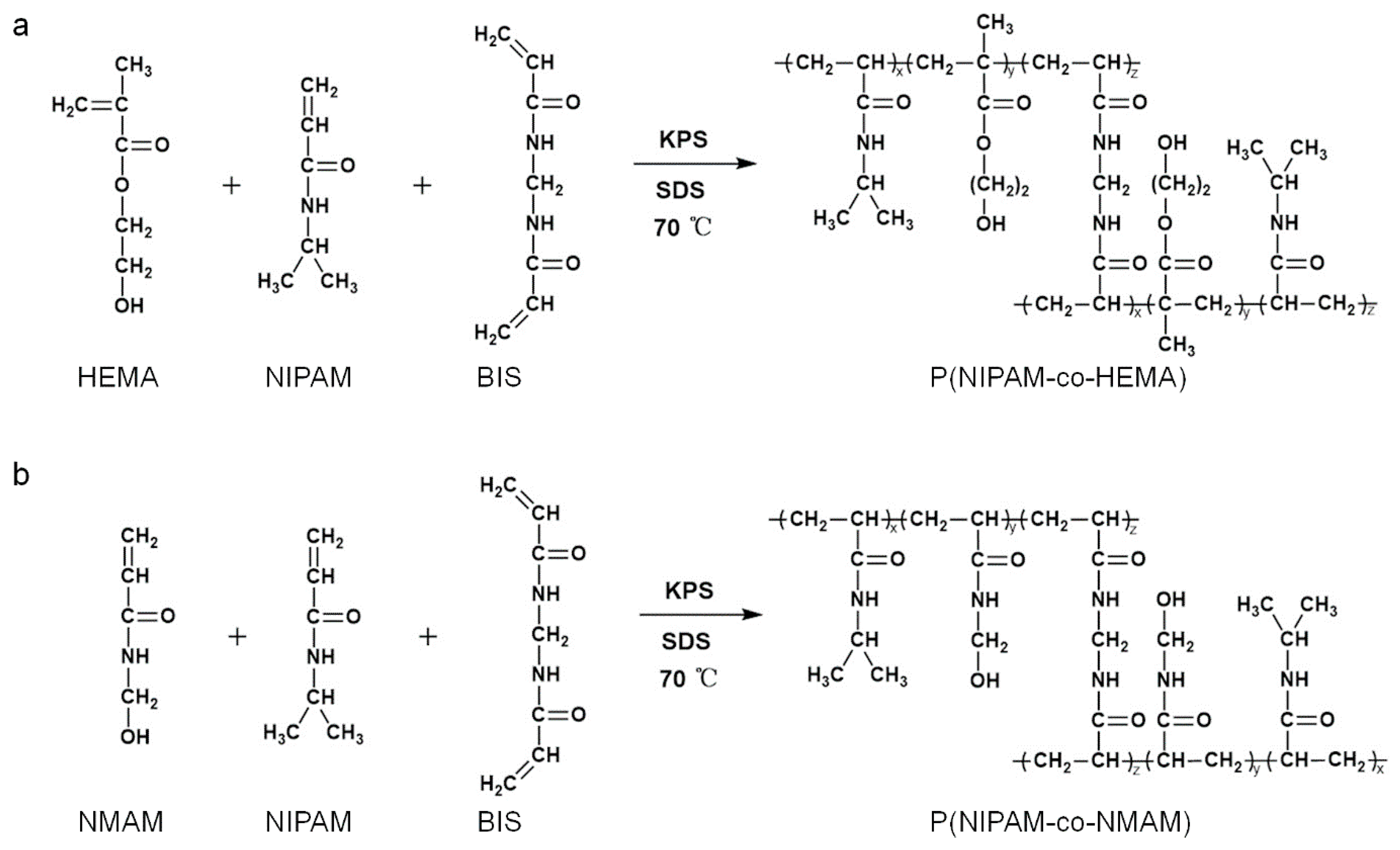 Molecules 28 07823 g001