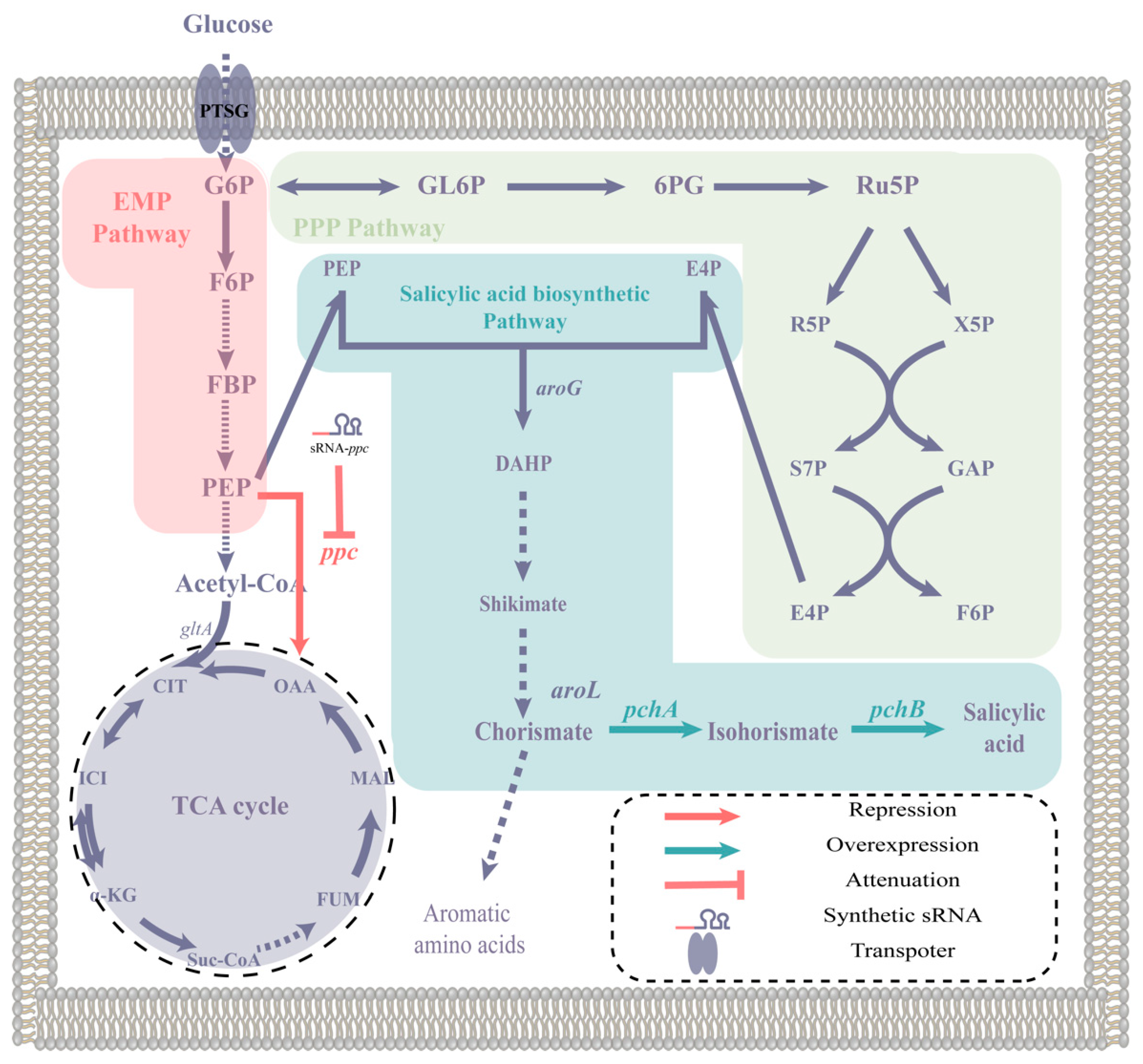 Molecules 28 07825 g001 Molecules 28 07825 g001