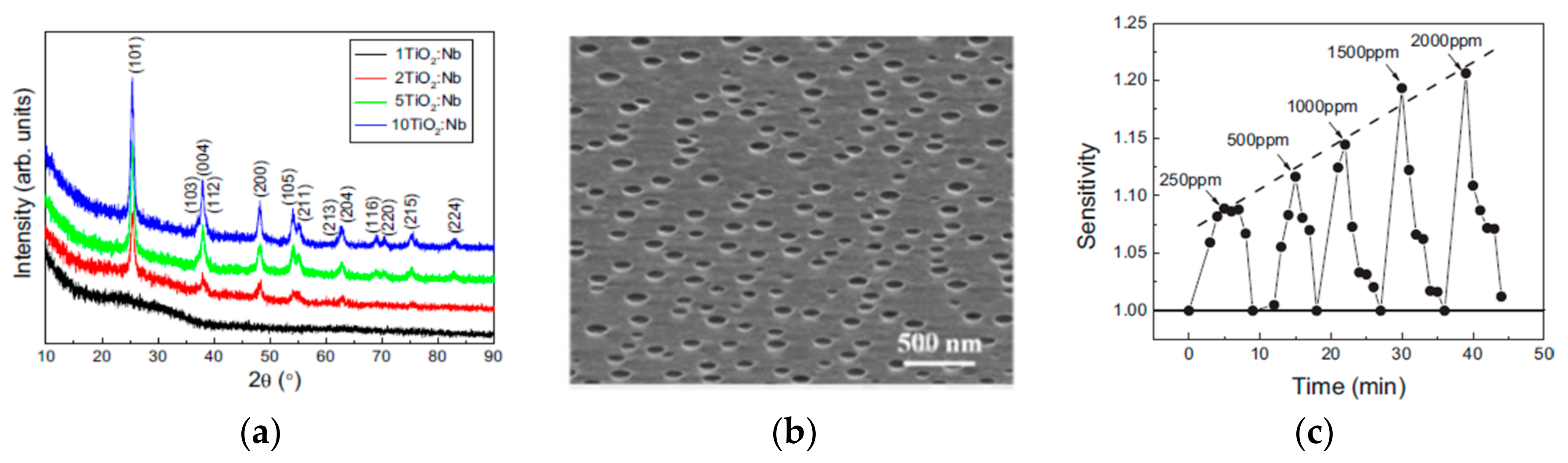 Molecules 28 07828 g013
