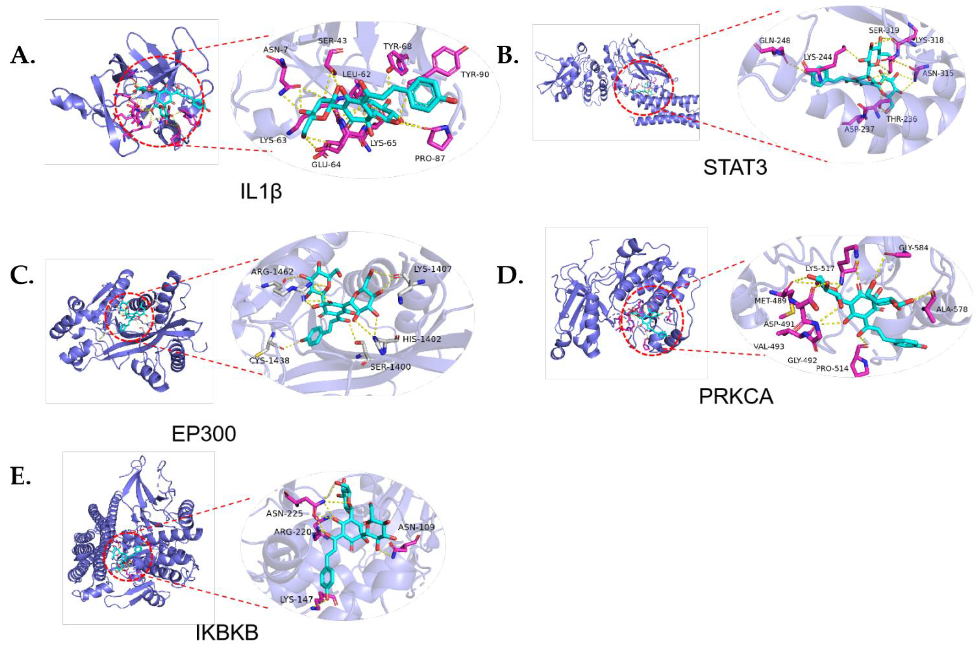 Molecules 28 07829 g006