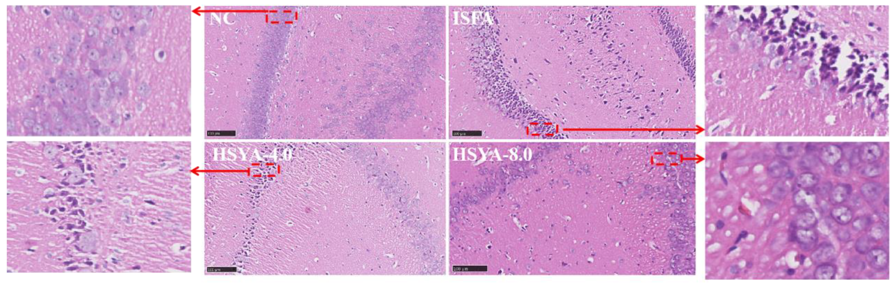 Molecules 28 07829 g009