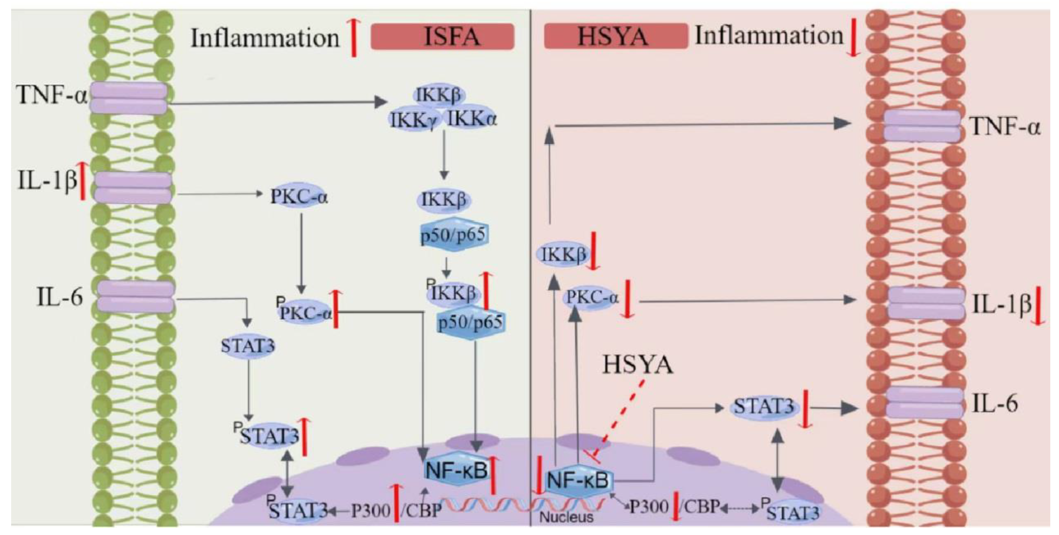 Molecules 28 07829 g012
