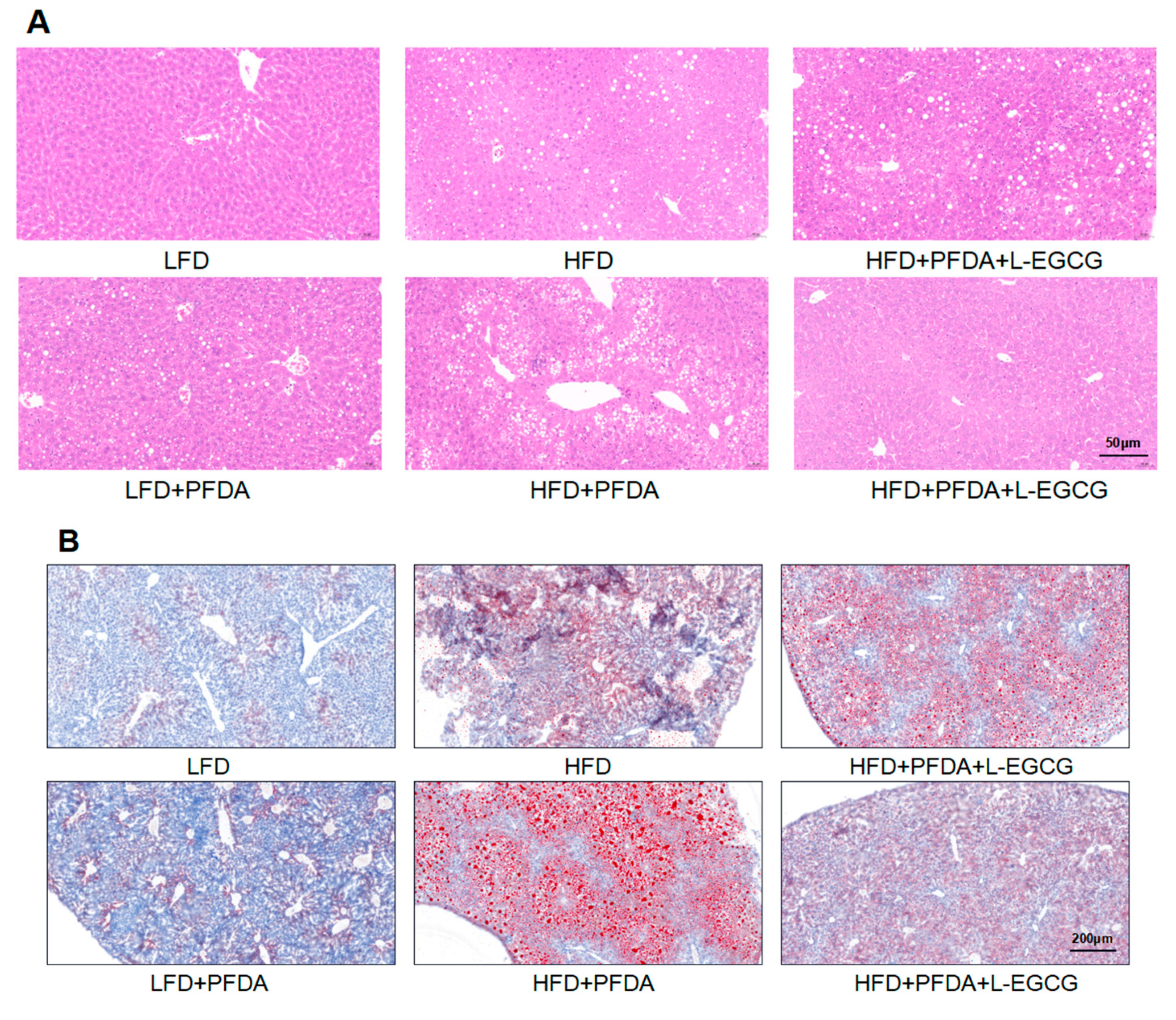 Molecules 28 07832 g004a