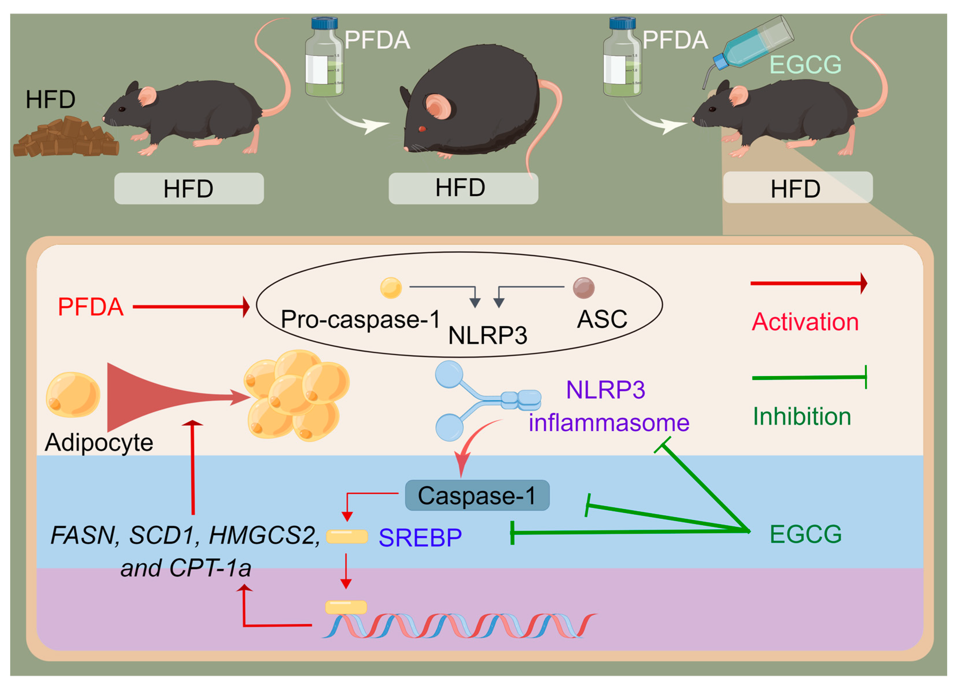 Molecules 28 07832 g007