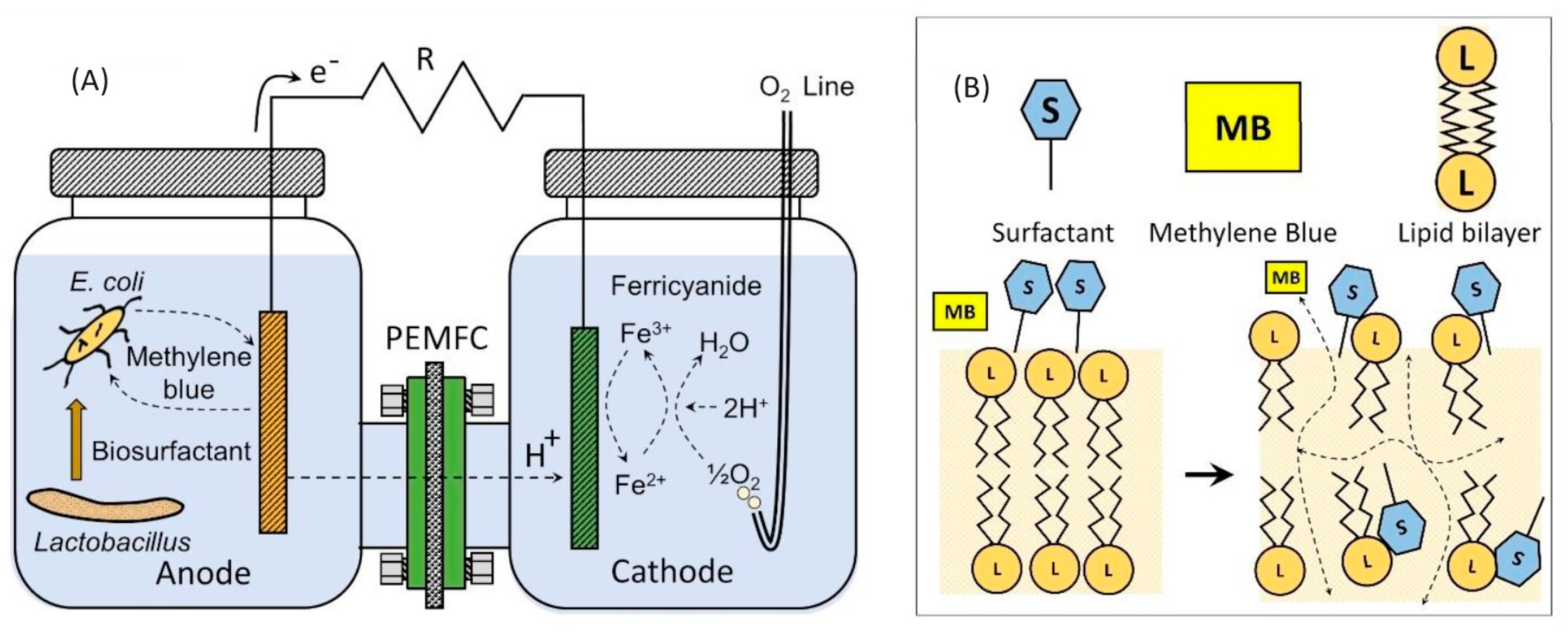 Molecules 28 07833 g001