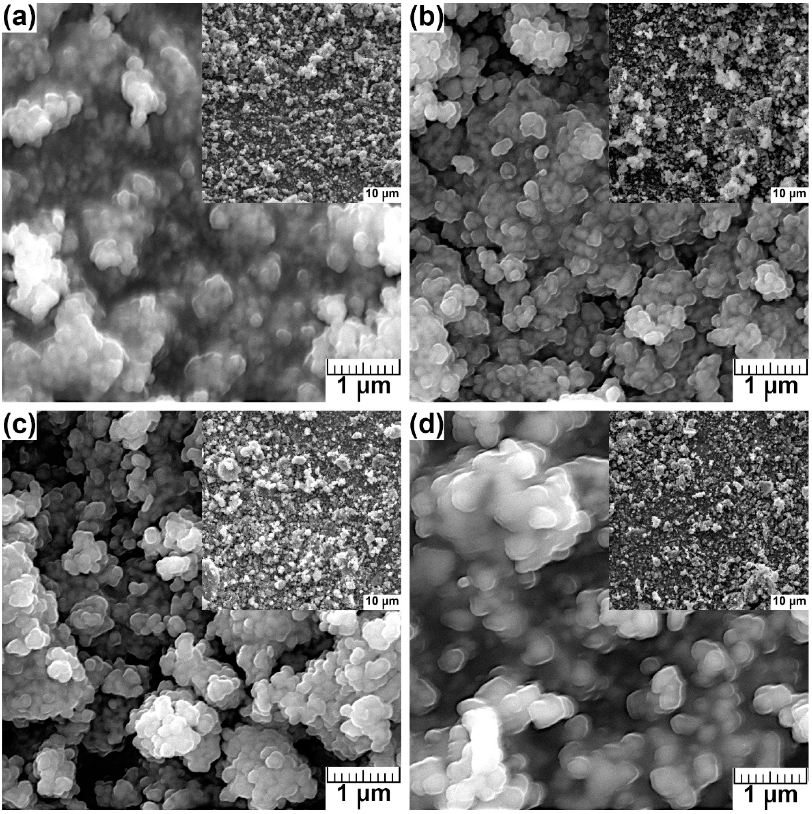 Molecules 28 07843 g003