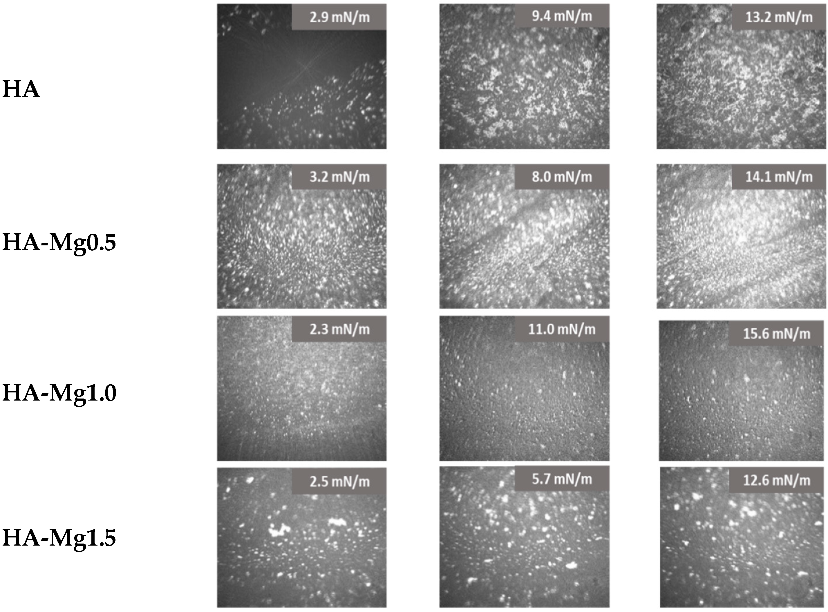 Molecules 28 07843 g005