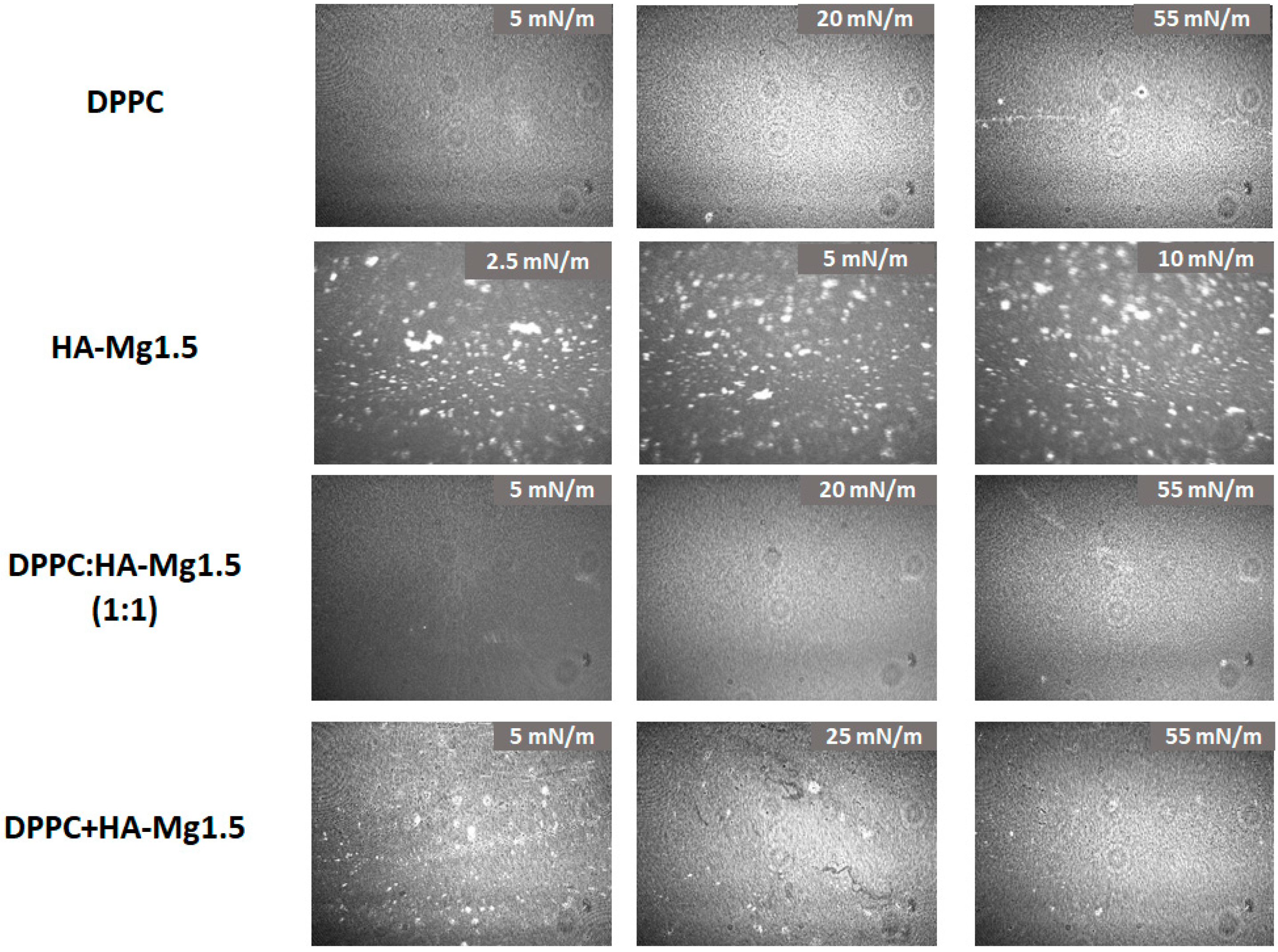 Molecules 28 07843 g009