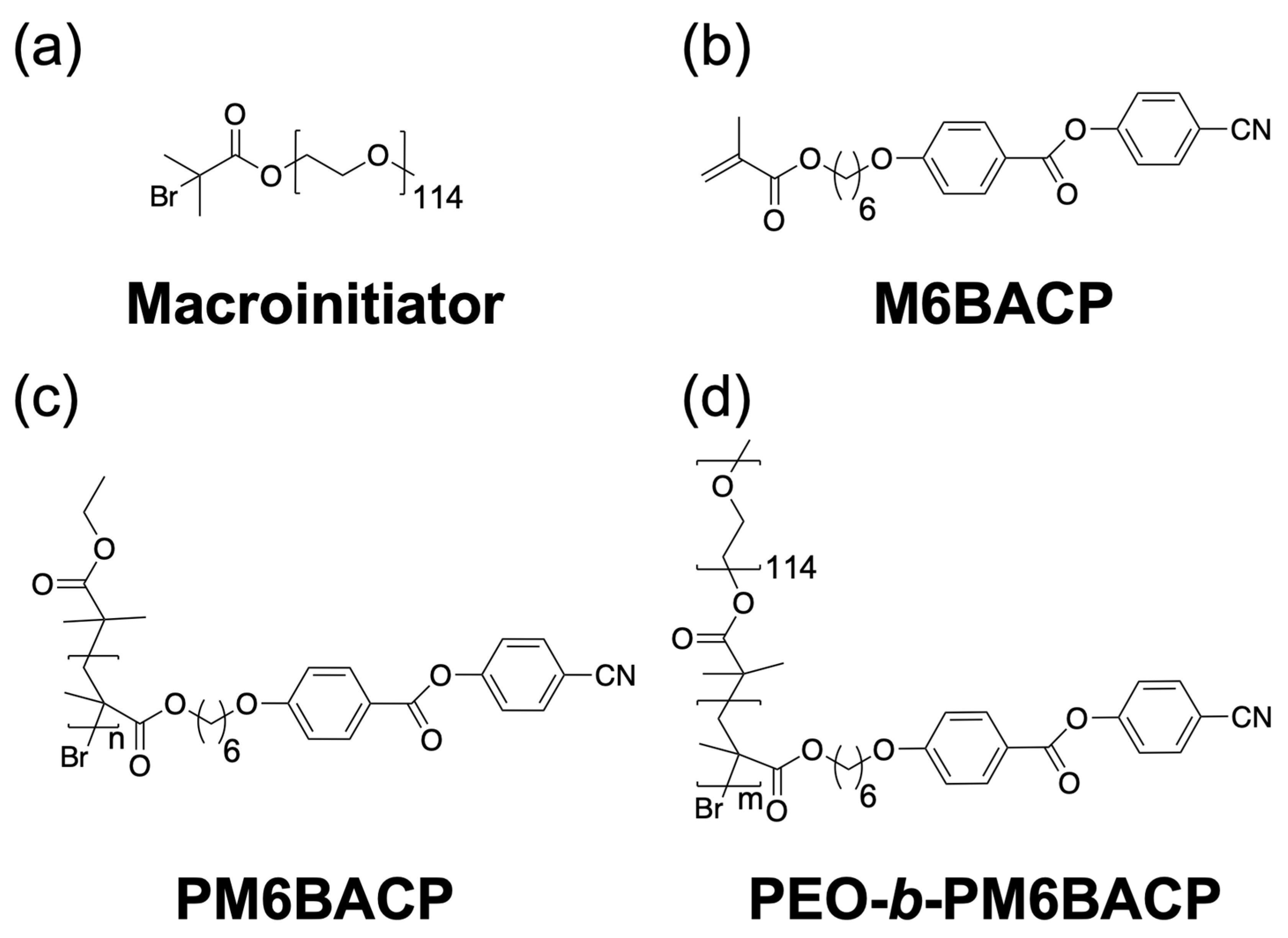 Molecules 28 07849 g001