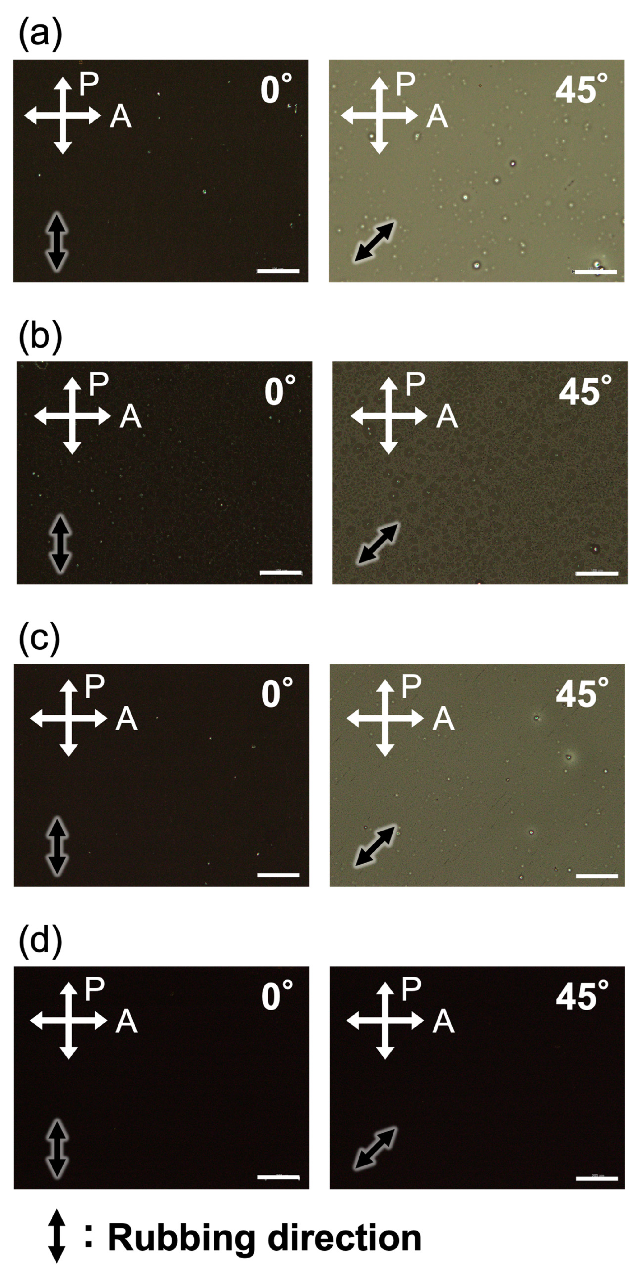 Molecules 28 07849 g007
