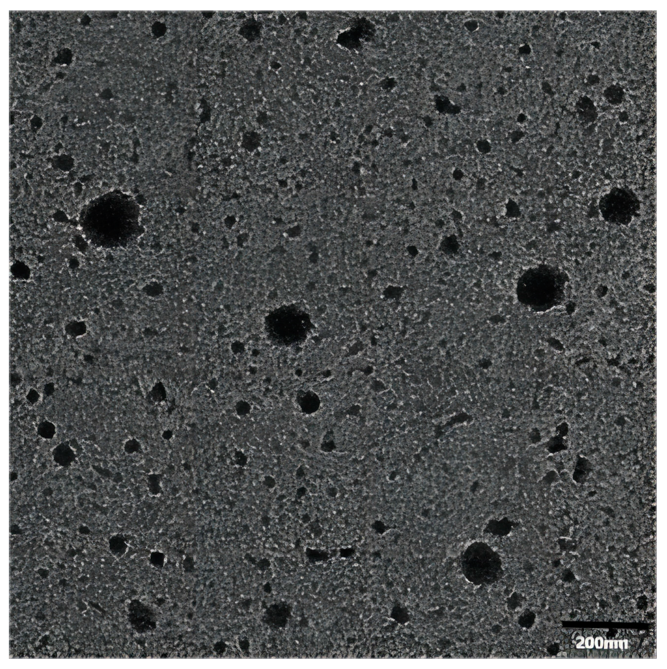 Molecules 28 07868 g001