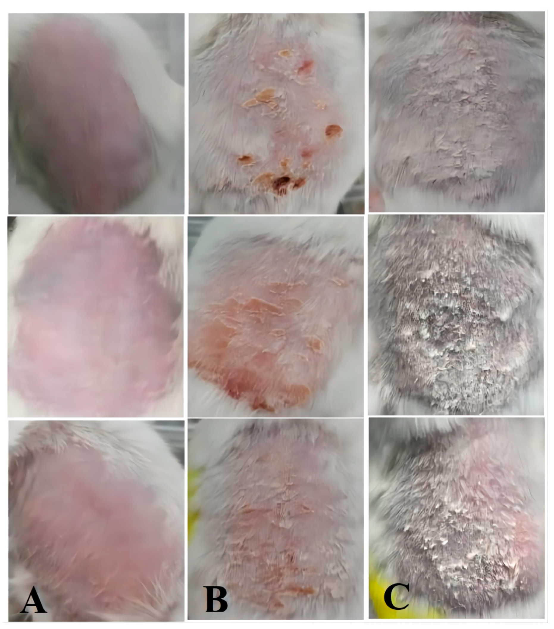 Molecules 28 07868 g008