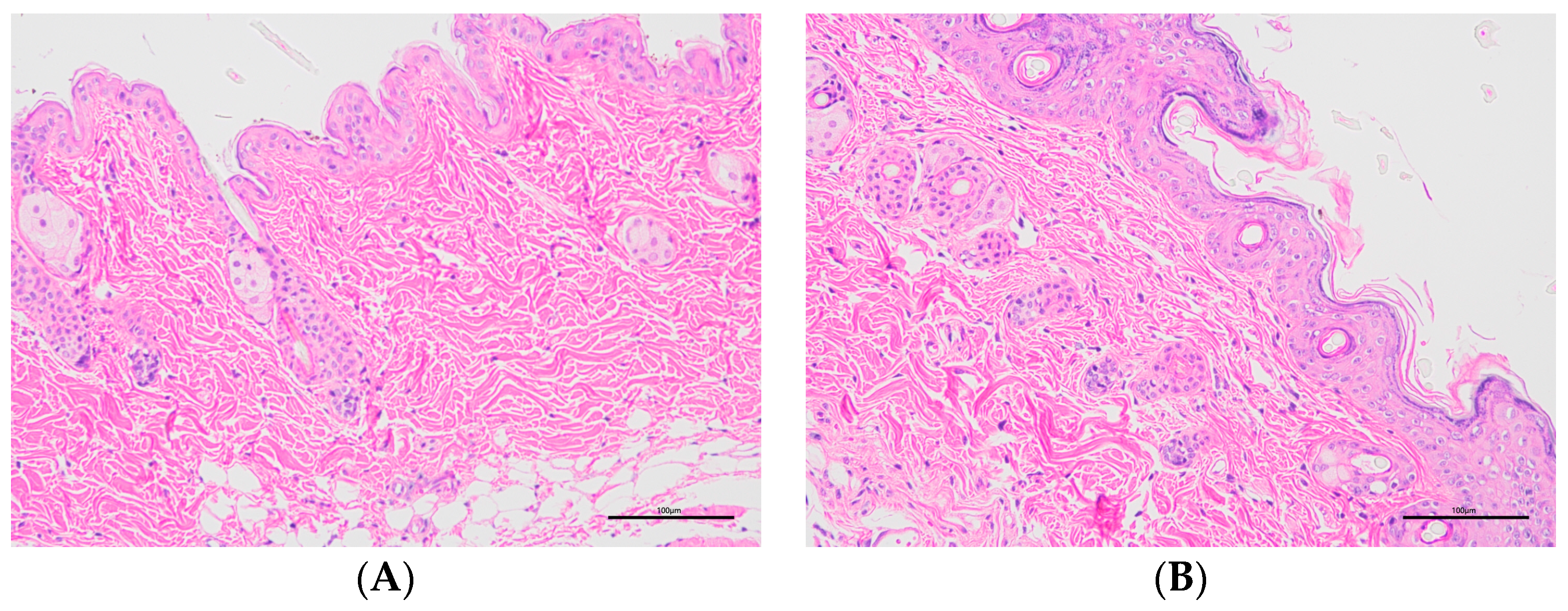 Molecules 28 07868 g010a