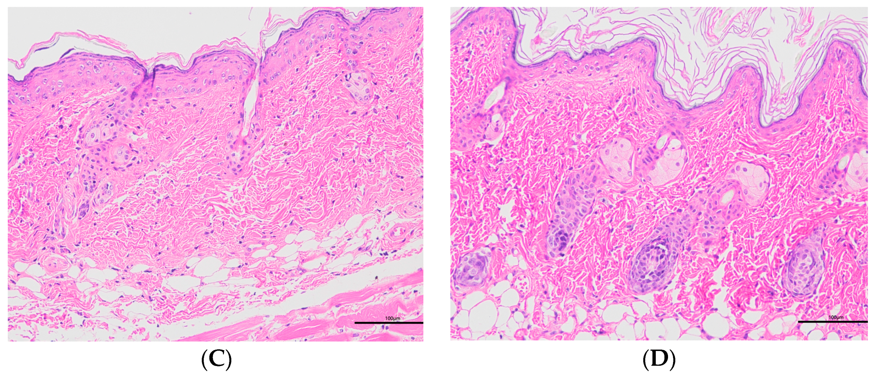 Molecules 28 07868 g010b