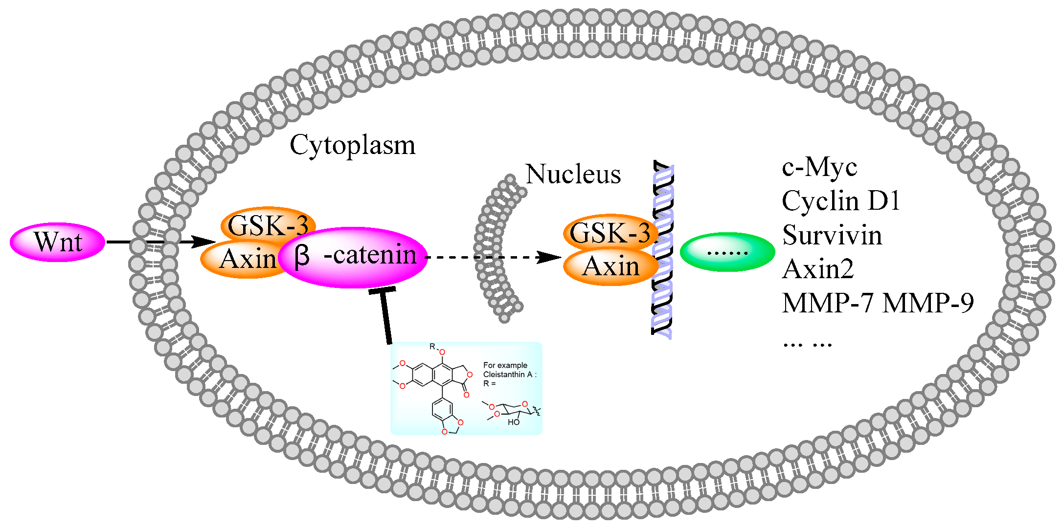 Molecules 28 07874 g009