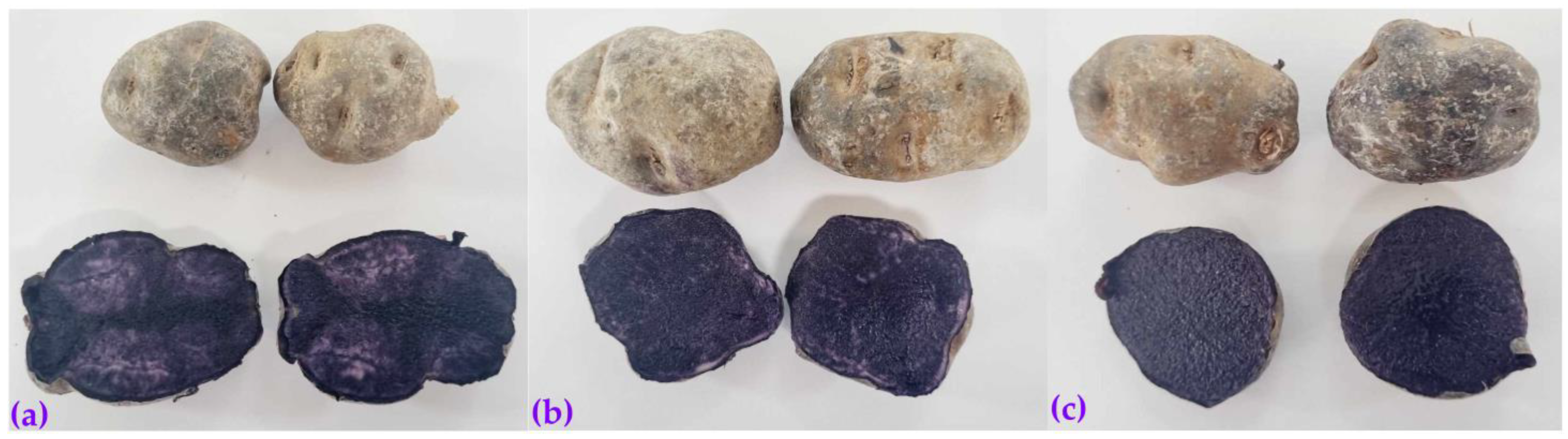 Molecules 28 07875 g009