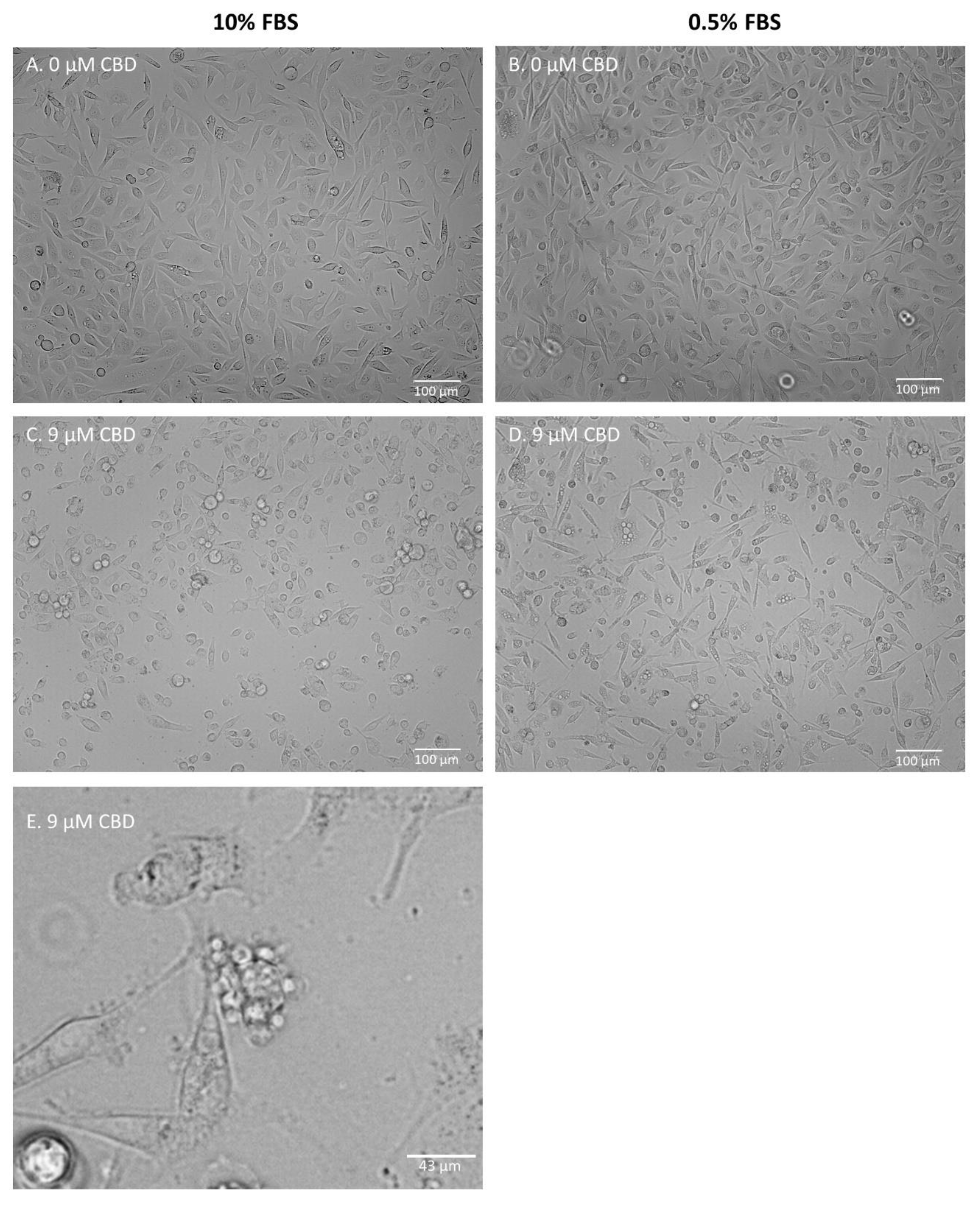 Molecules 28 07887 g002