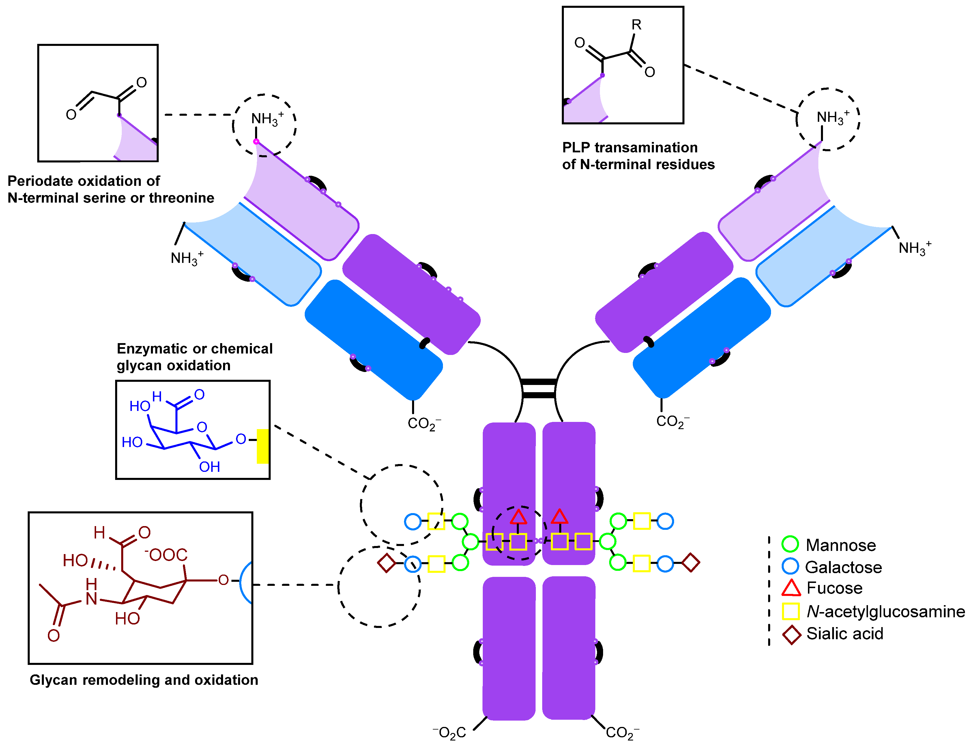 Molecules 28 07890 g003 Molecules 28 07890 g003