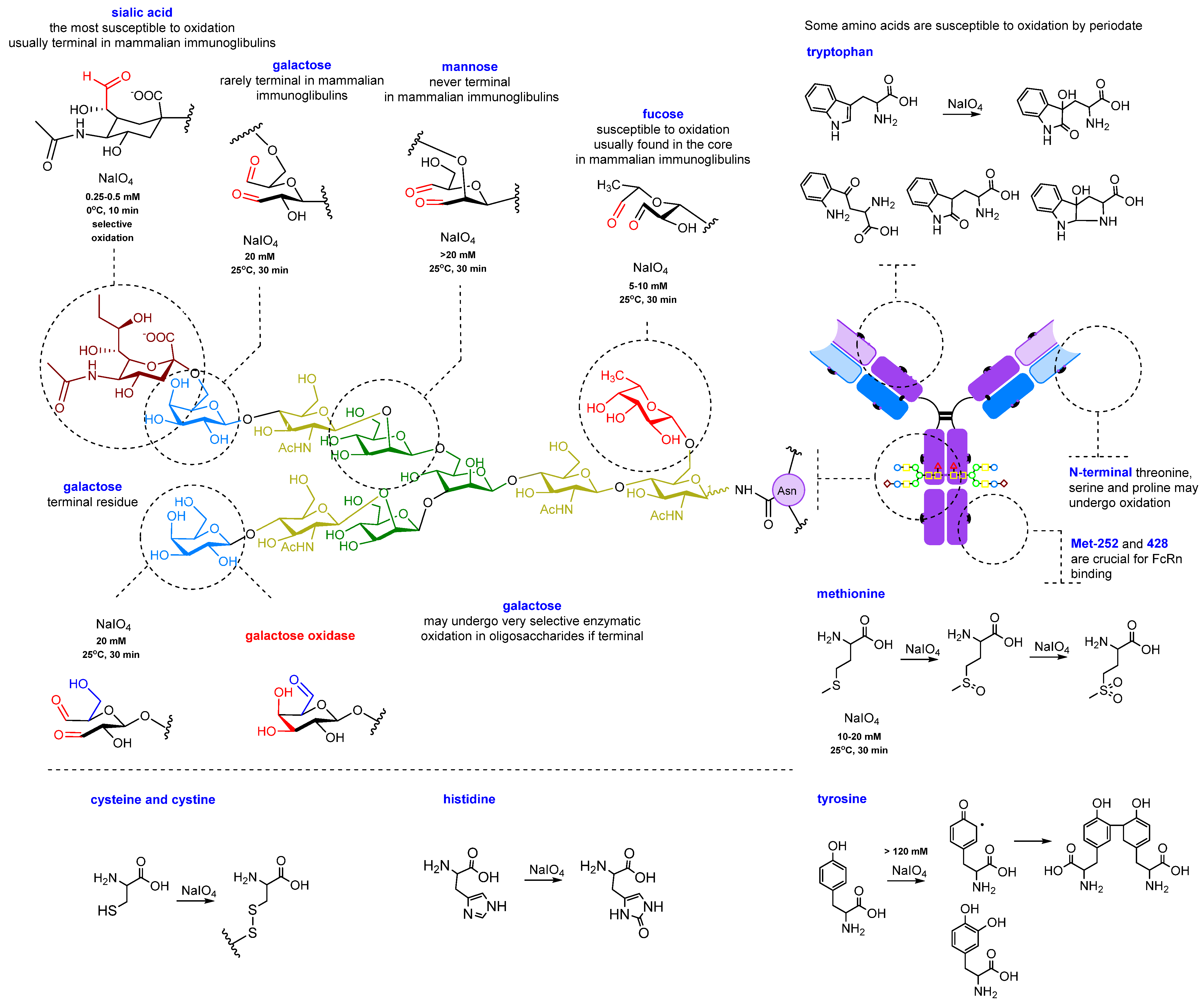 Molecules 28 07890 g005 Molecules 28 07890 g005