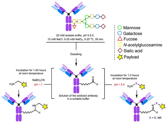 Molecules 28 07890 g006