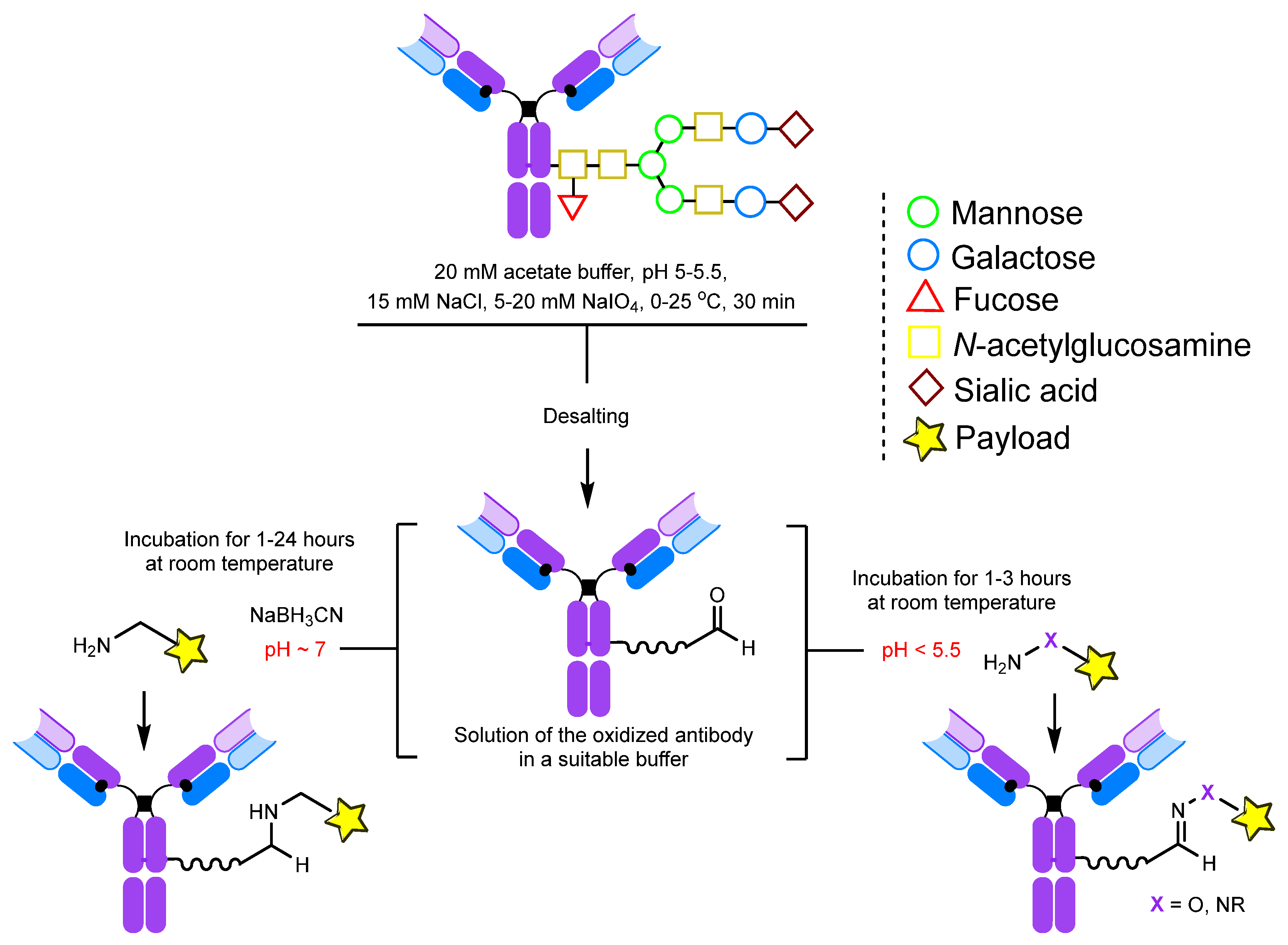 Molecules 28 07890 g006 Molecules 28 07890 g006