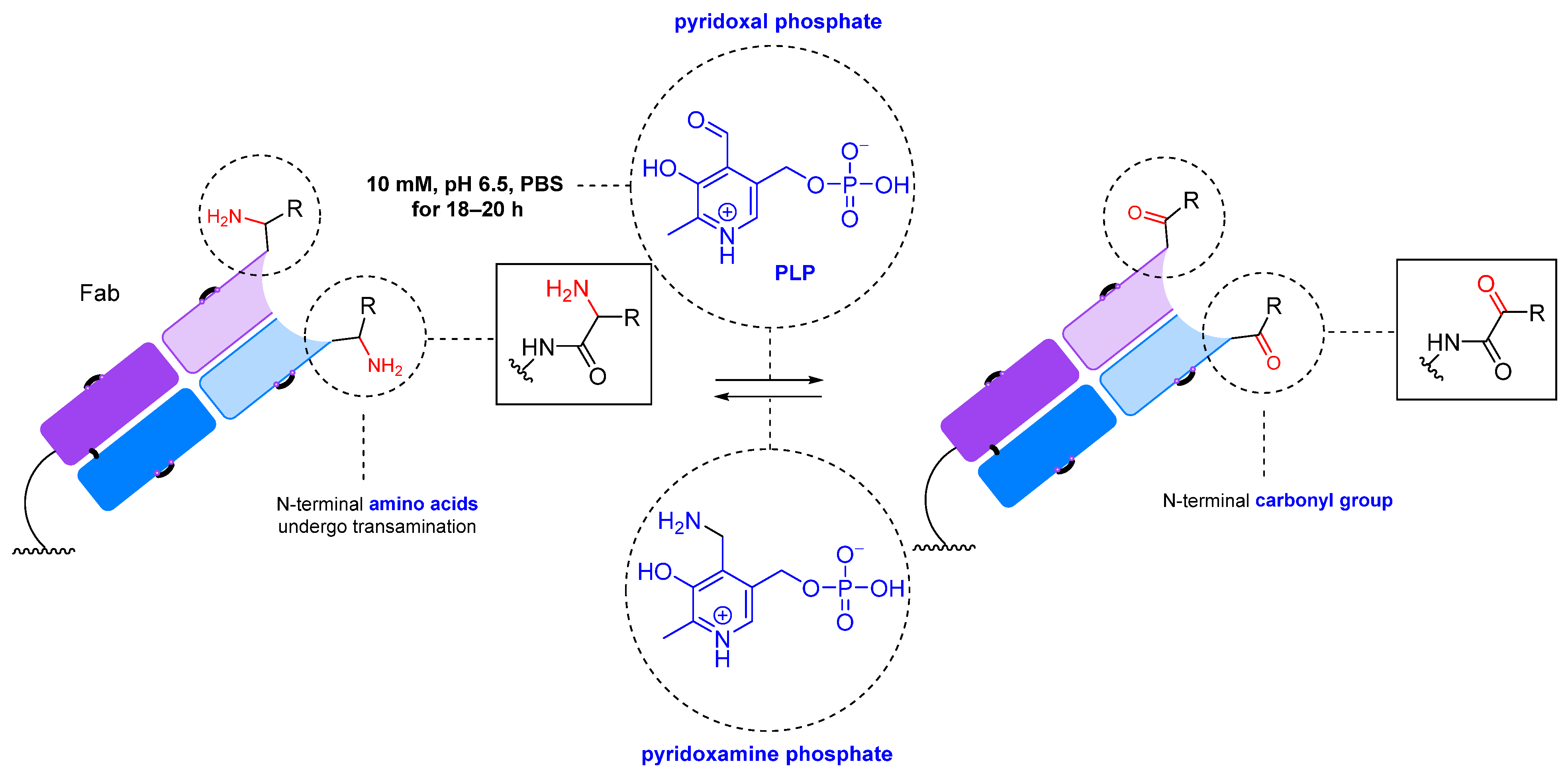 Molecules 28 07890 g007 Molecules 28 07890 g007