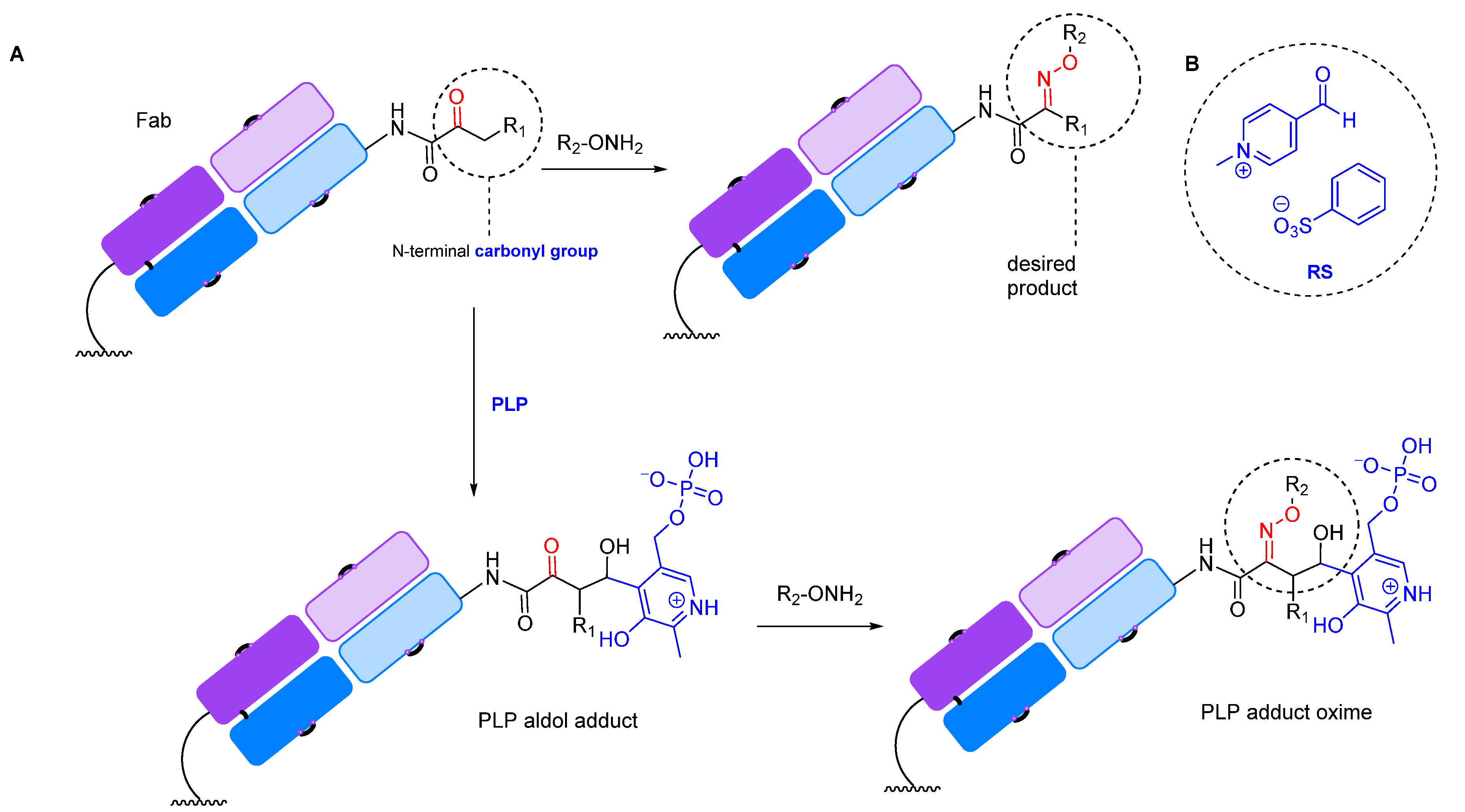 Molecules 28 07890 g008 Molecules 28 07890 g008