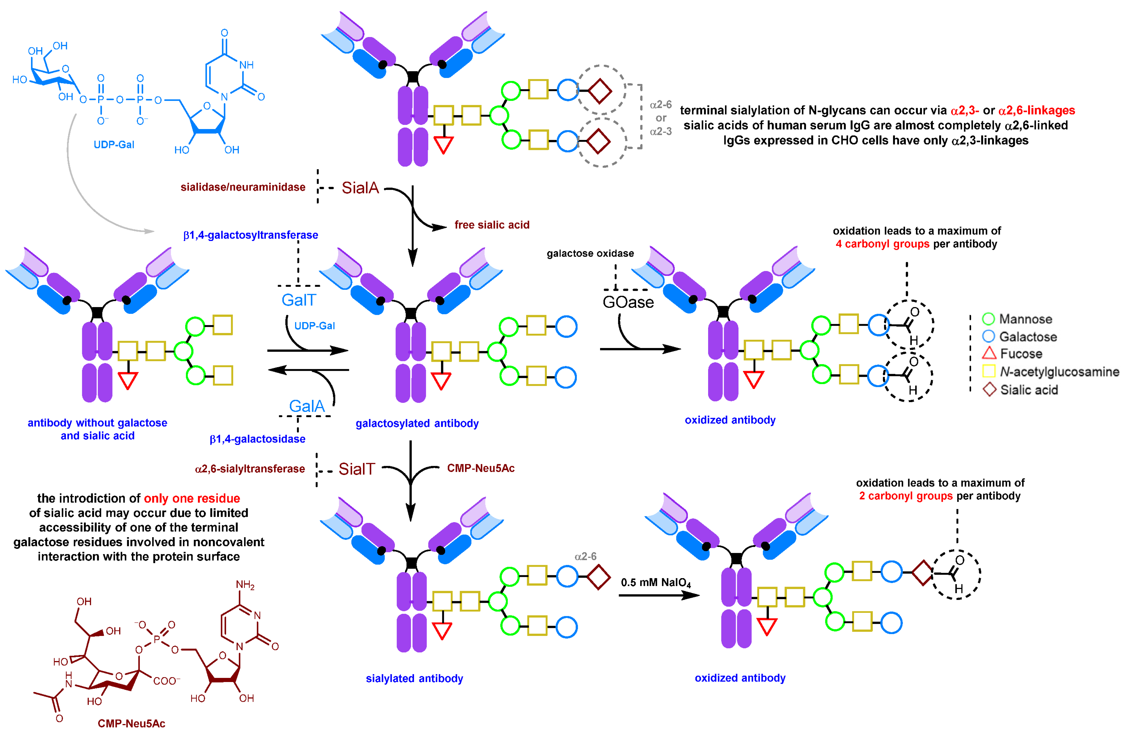 Molecules 28 07890 g009 Molecules 28 07890 g009