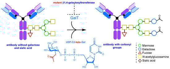 Molecules 28 07890 g010