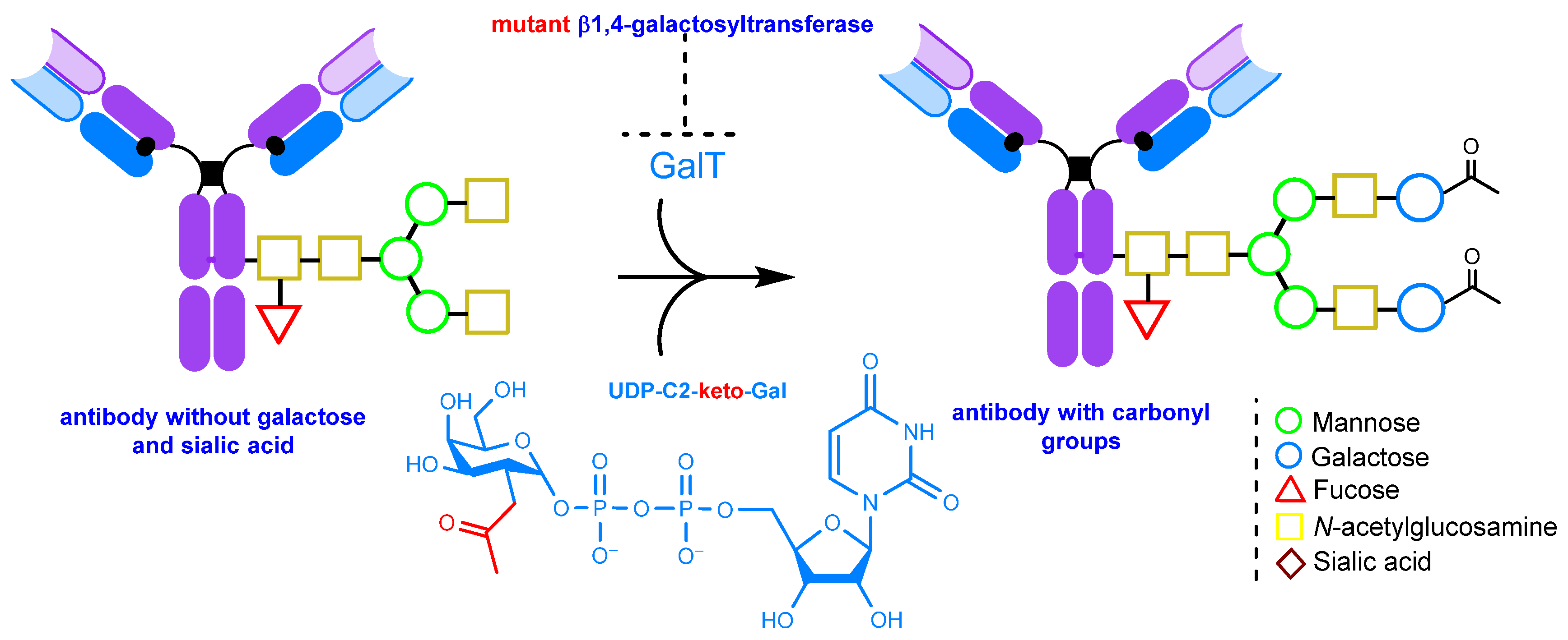 Molecules 28 07890 g010 Molecules 28 07890 g010