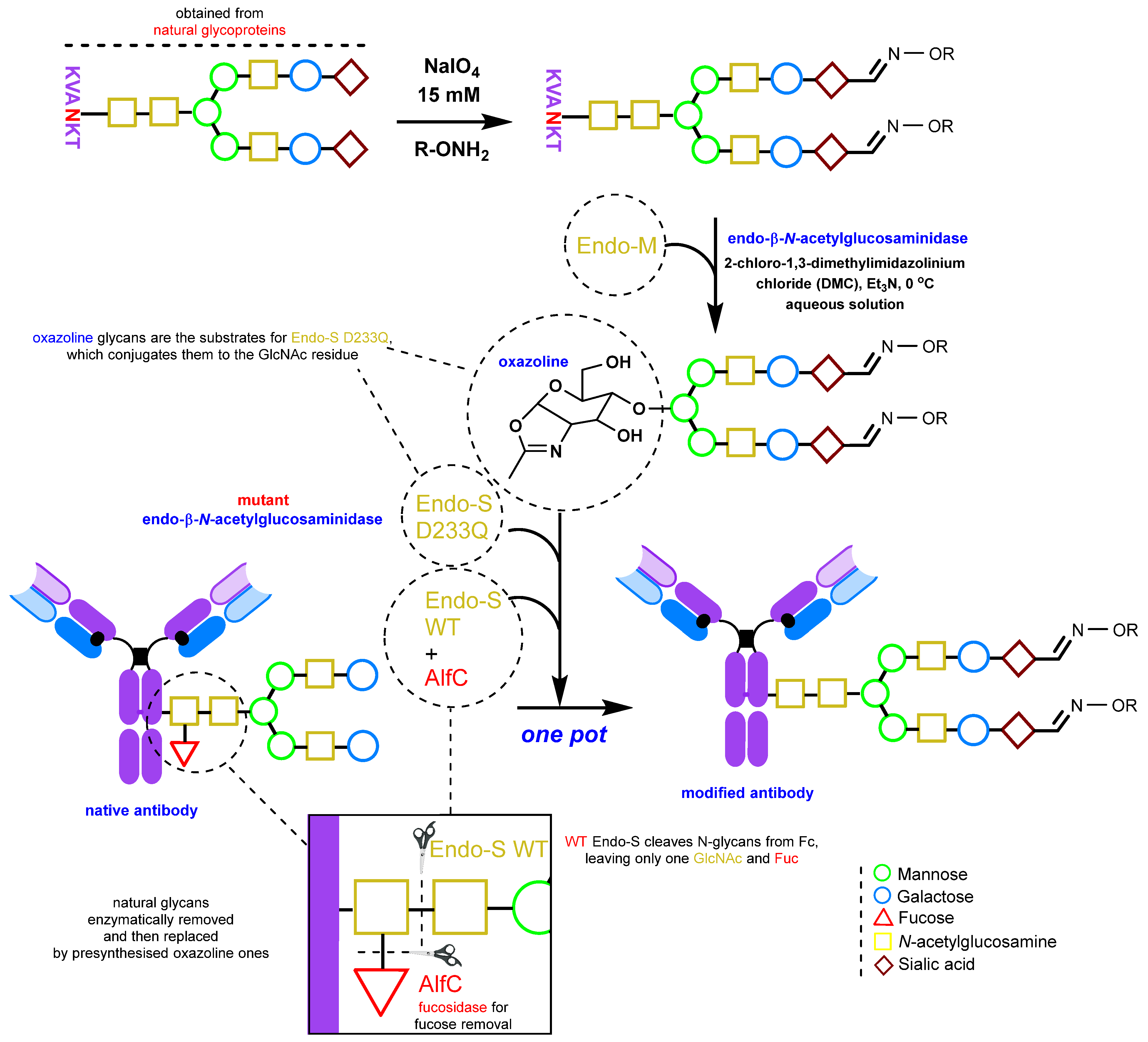 Molecules 28 07890 g011 Molecules 28 07890 g011