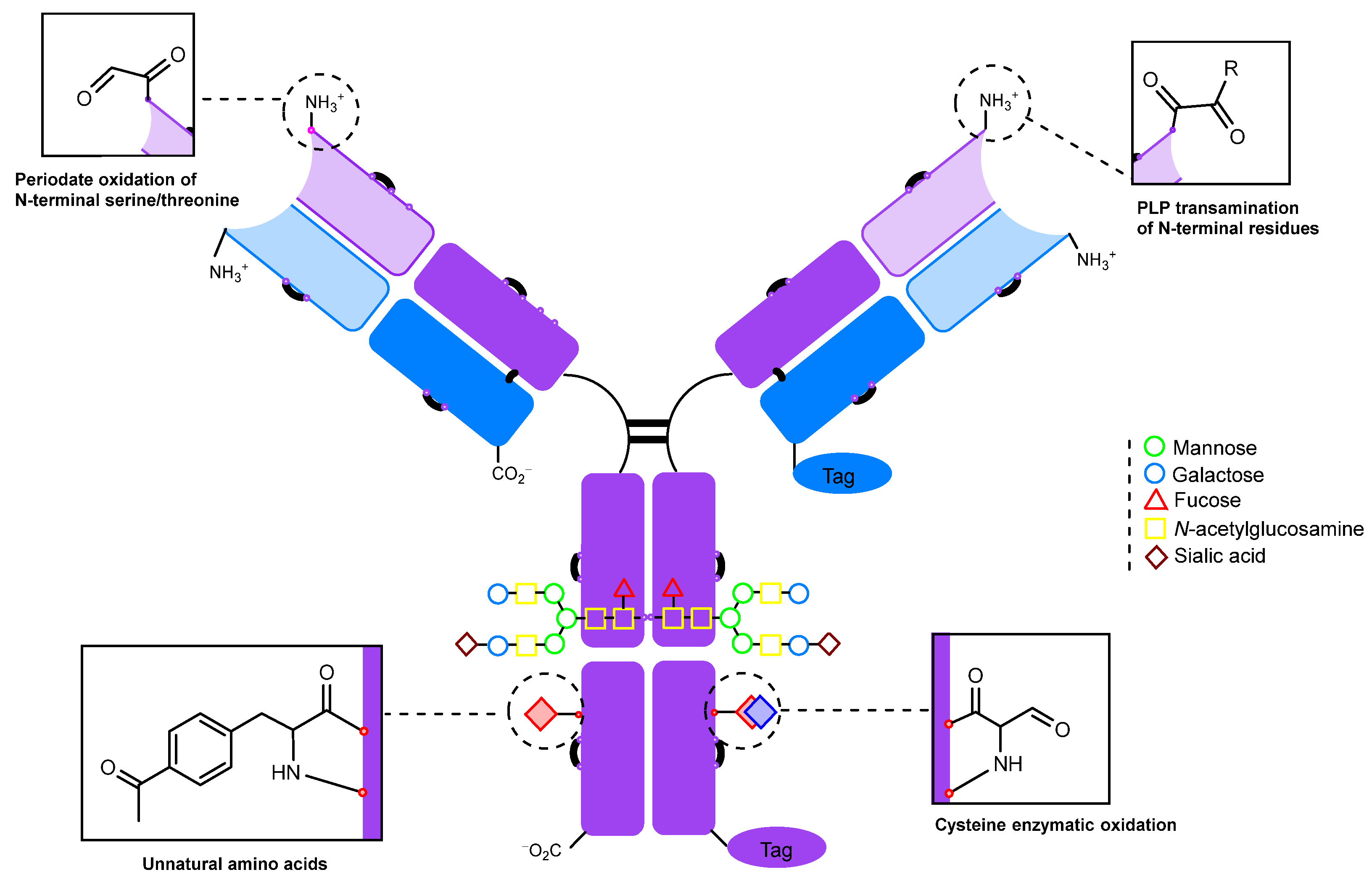 Molecules 28 07890 g012 Molecules 28 07890 g012