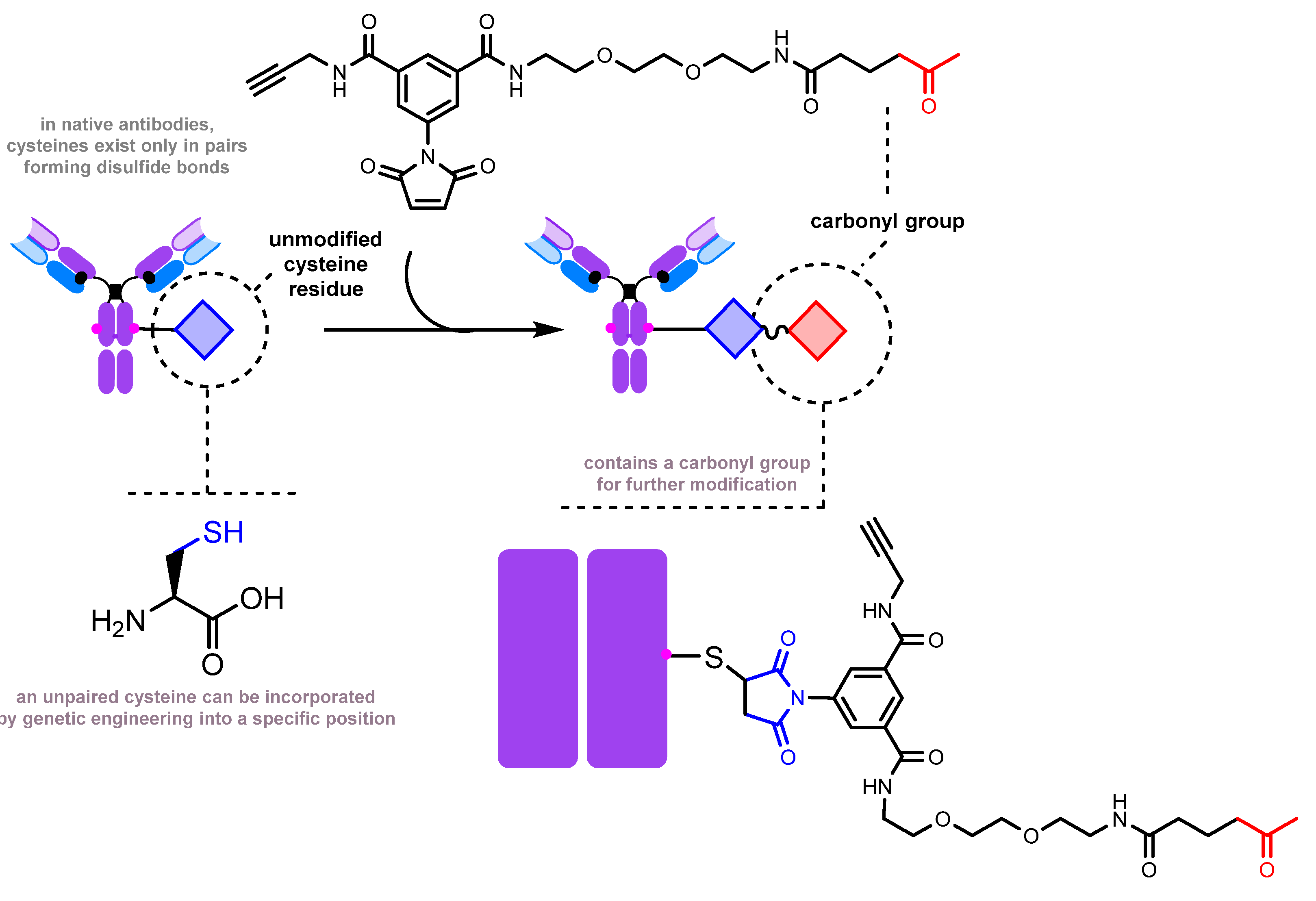 Molecules 28 07890 g013 Molecules 28 07890 g013