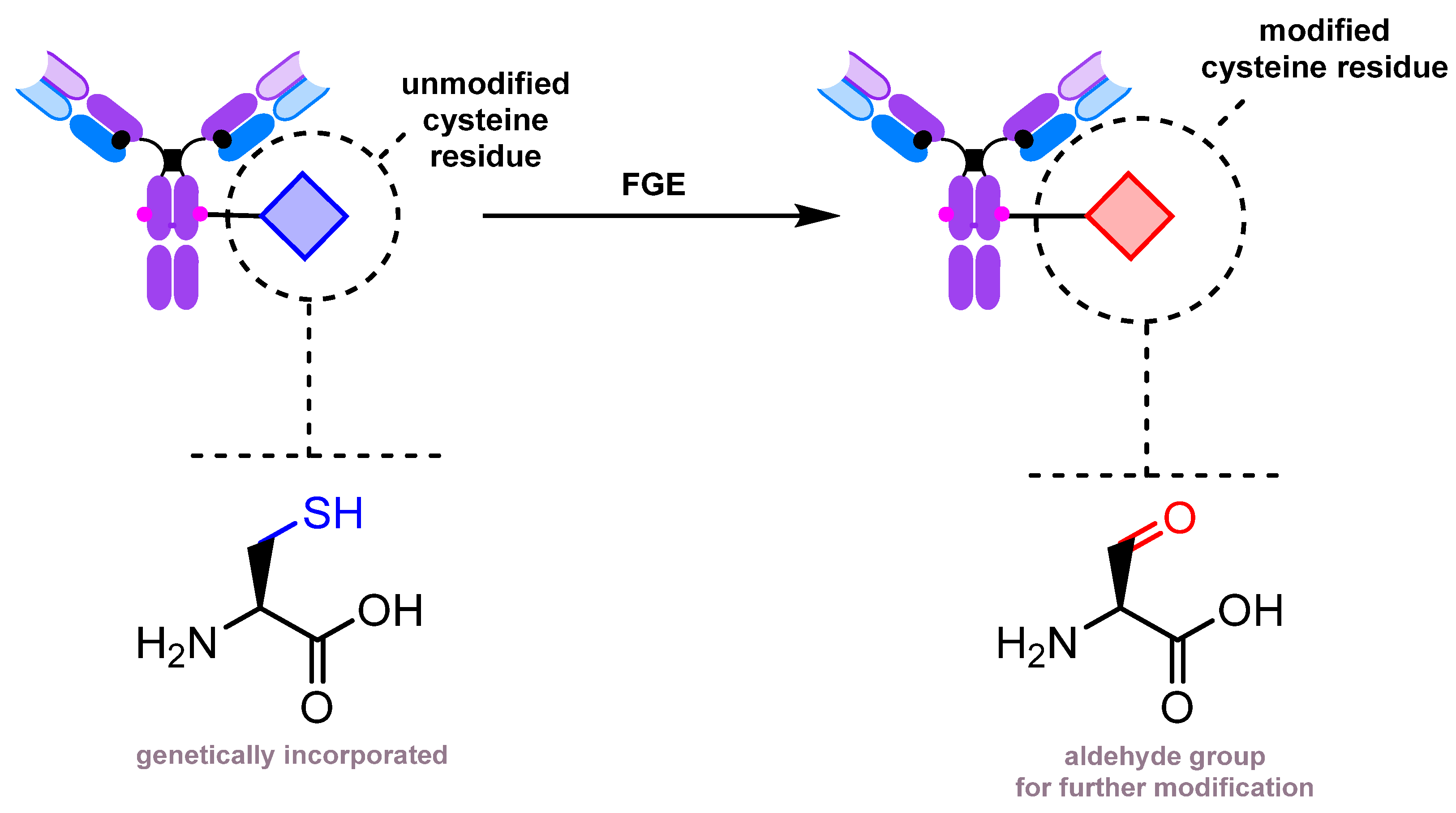 Molecules 28 07890 g014 Molecules 28 07890 g014