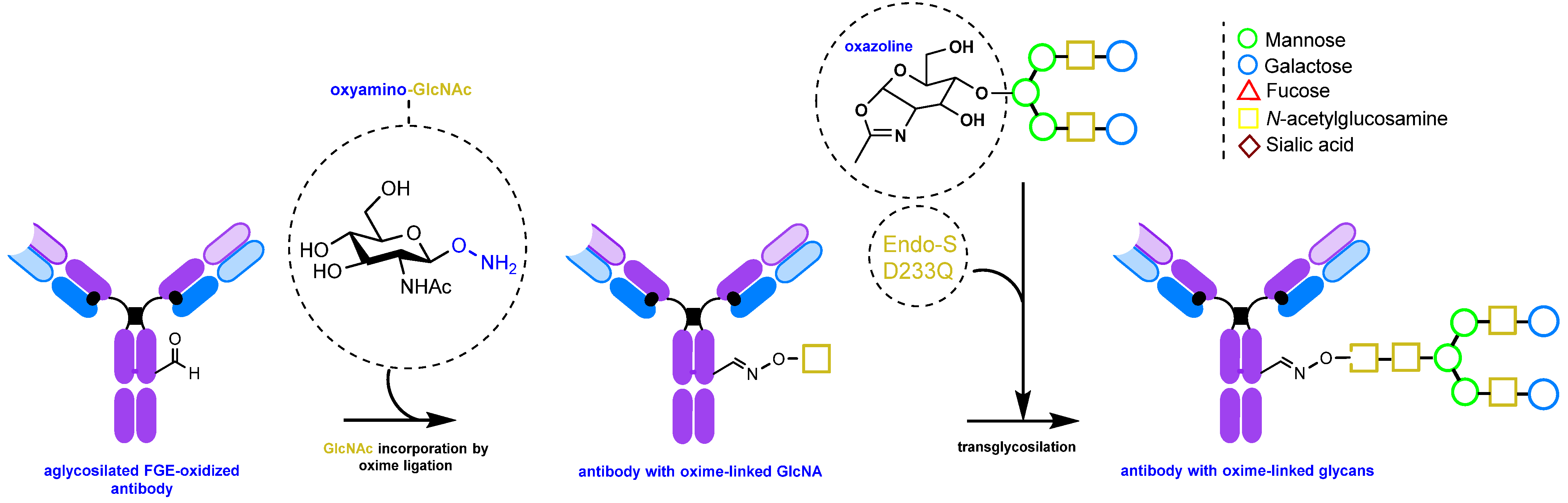 Molecules 28 07890 g015 Molecules 28 07890 g015