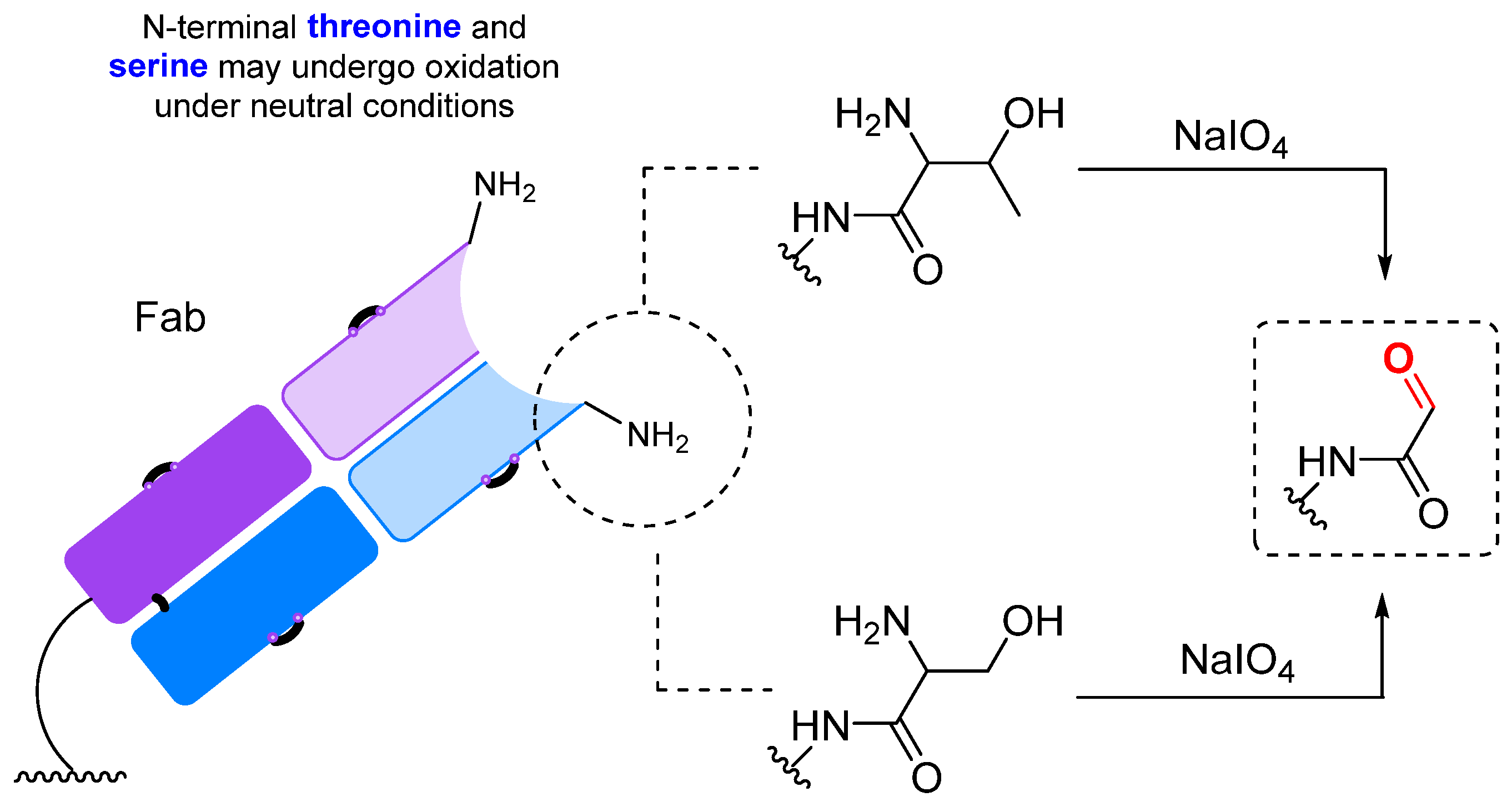 Molecules 28 07890 g016 Molecules 28 07890 g016