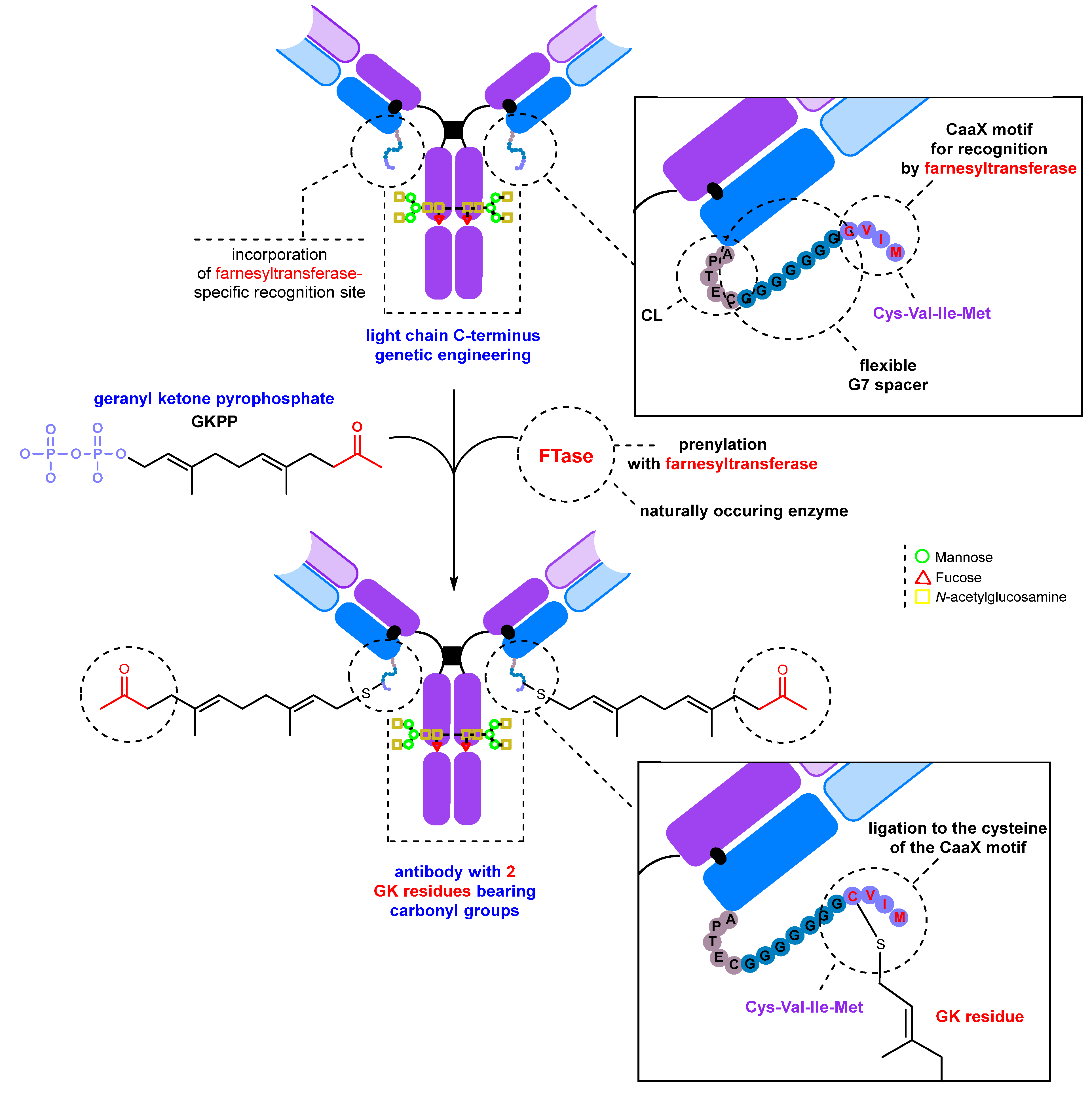 Molecules 28 07890 g017 Molecules 28 07890 g017