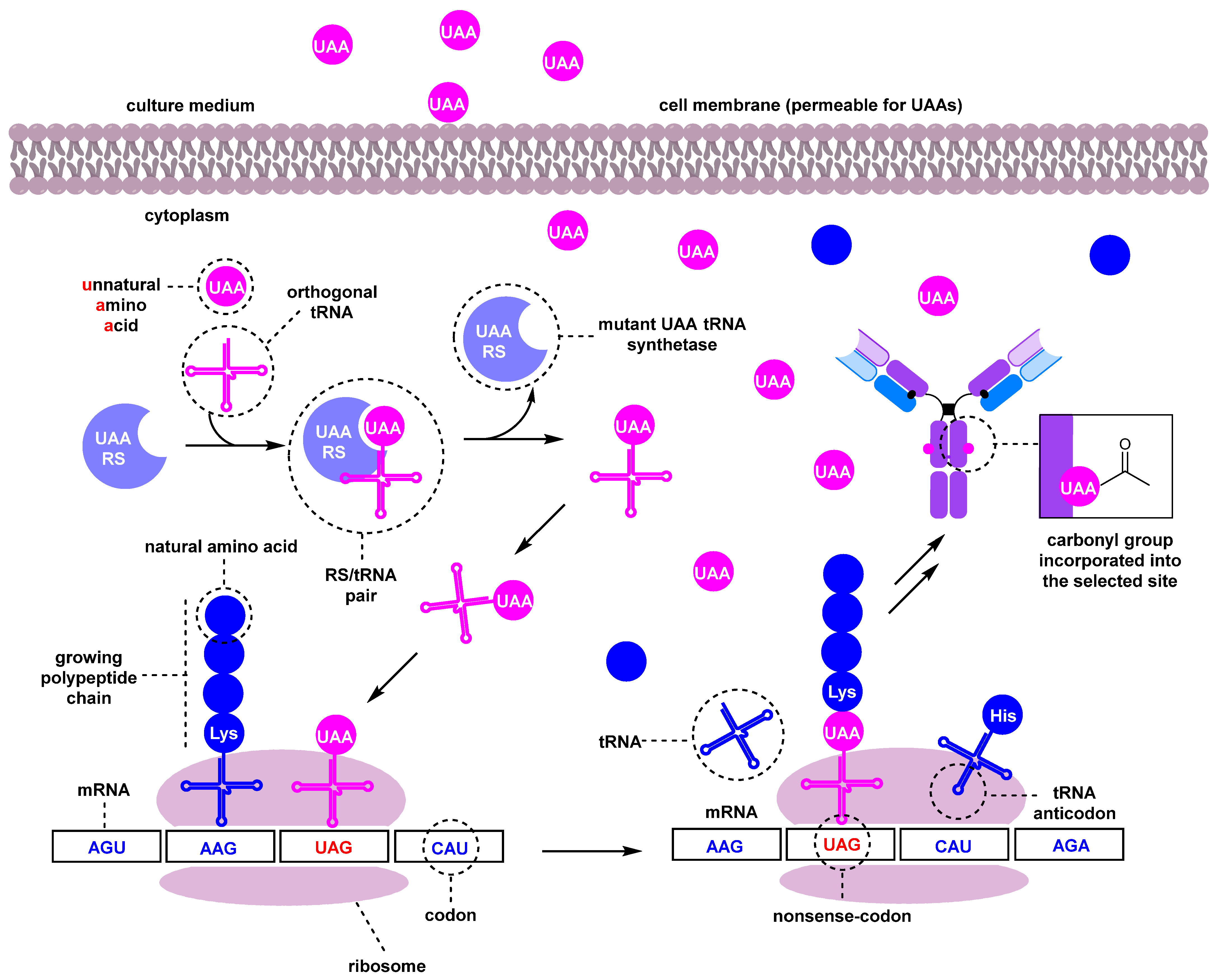 Molecules 28 07890 g018 Molecules 28 07890 g018