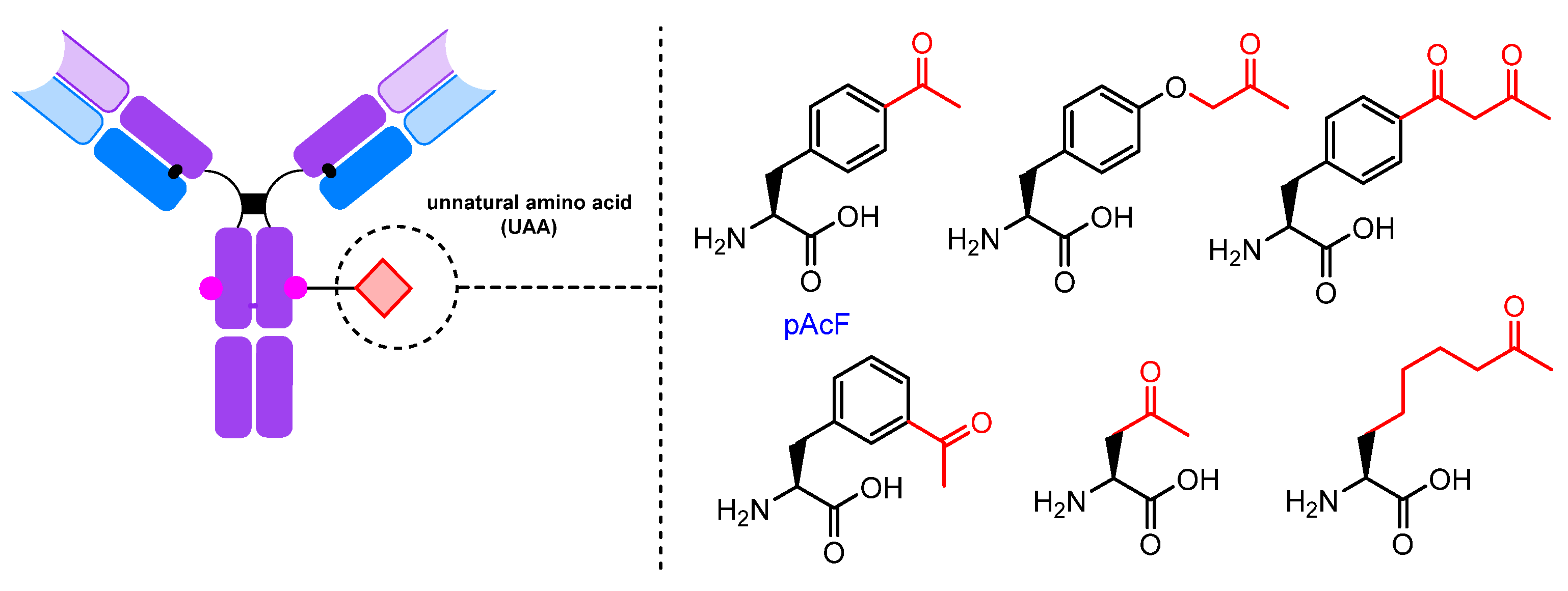 Molecules 28 07890 g019 Molecules 28 07890 g019