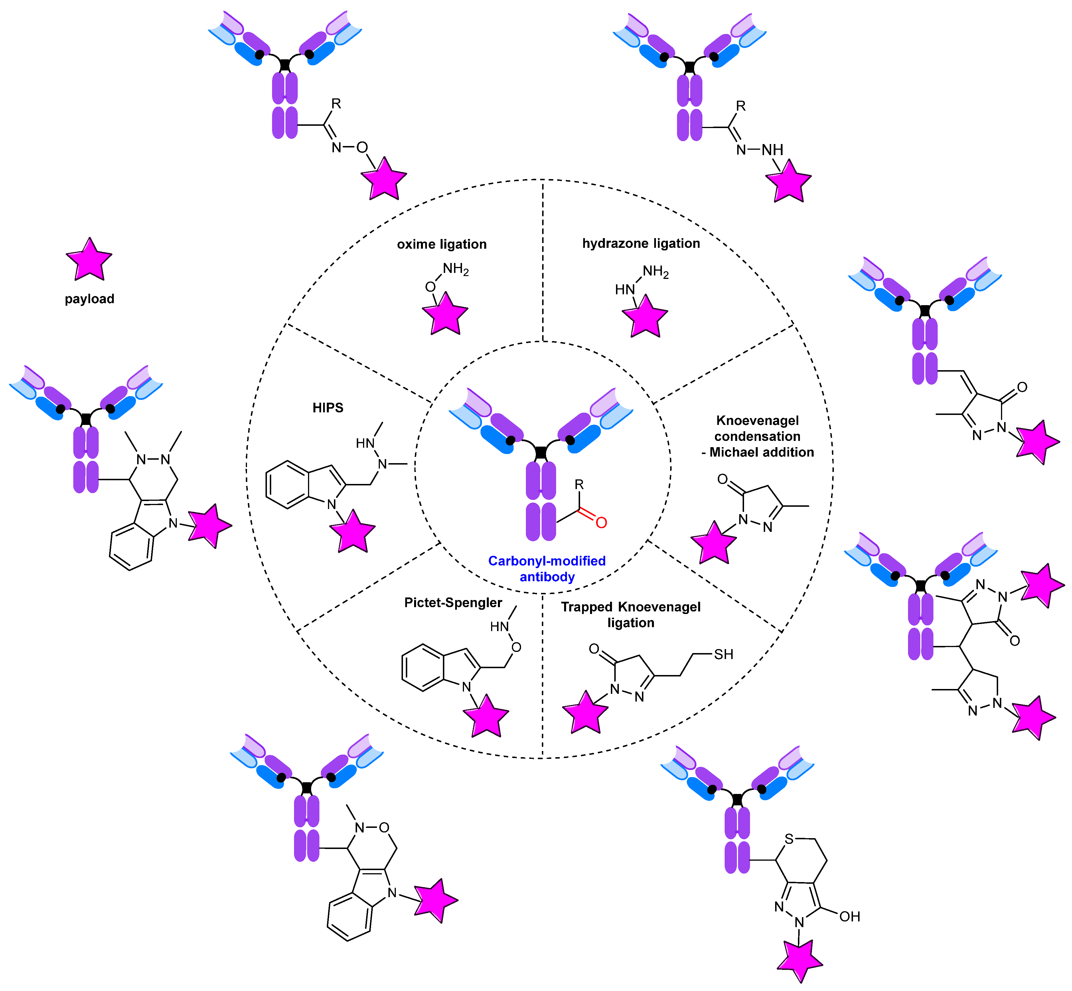 Molecules 28 07890 g020 Molecules 28 07890 g020