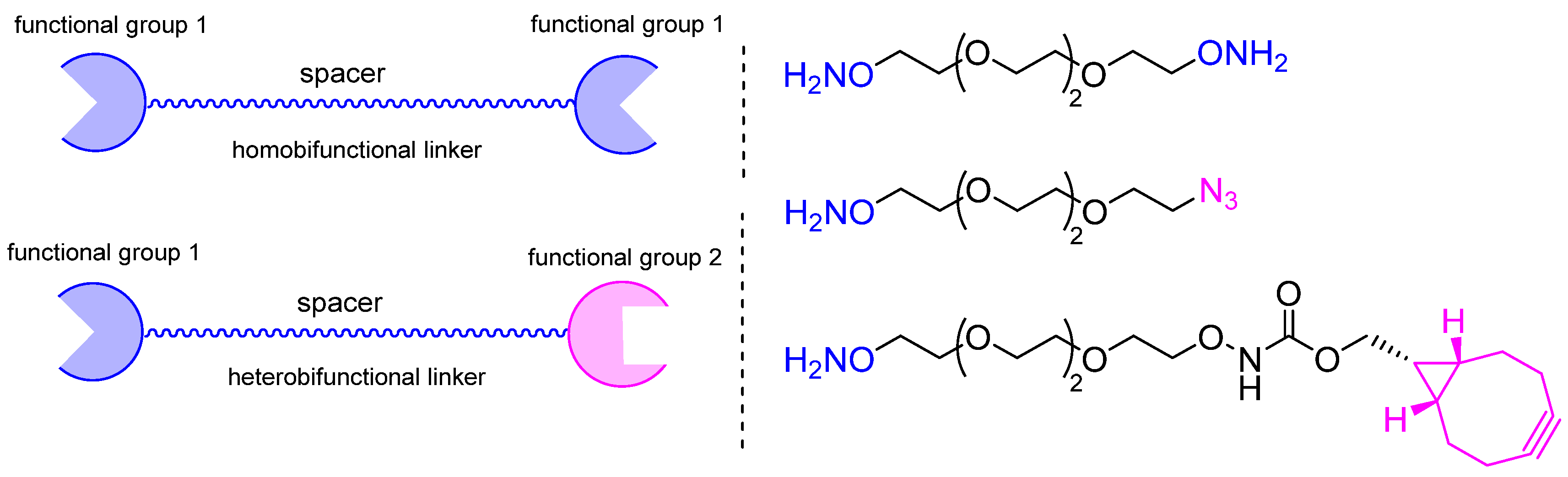 Molecules 28 07890 g021 Molecules 28 07890 g021