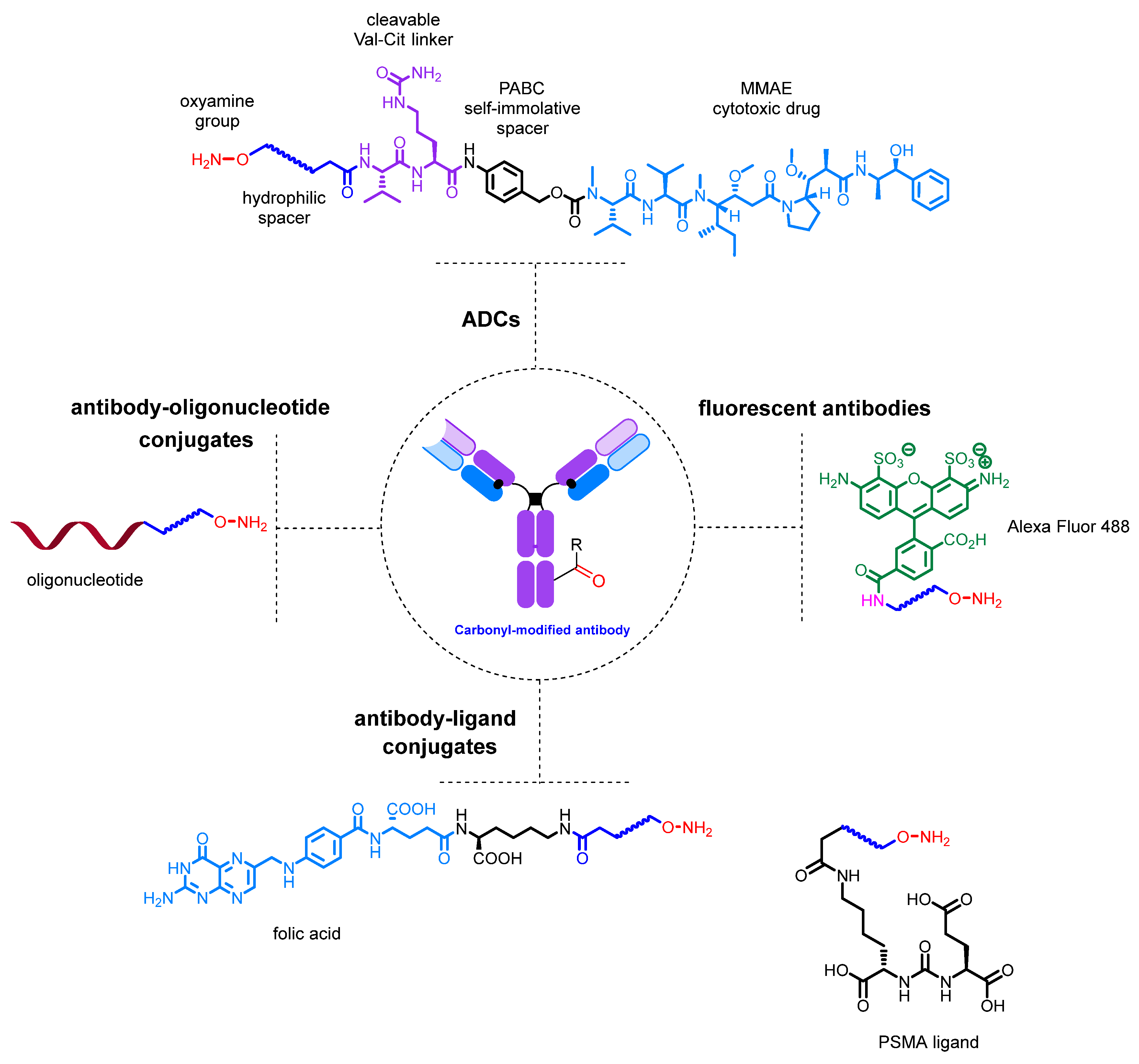 Molecules 28 07890 g023 Molecules 28 07890 g023