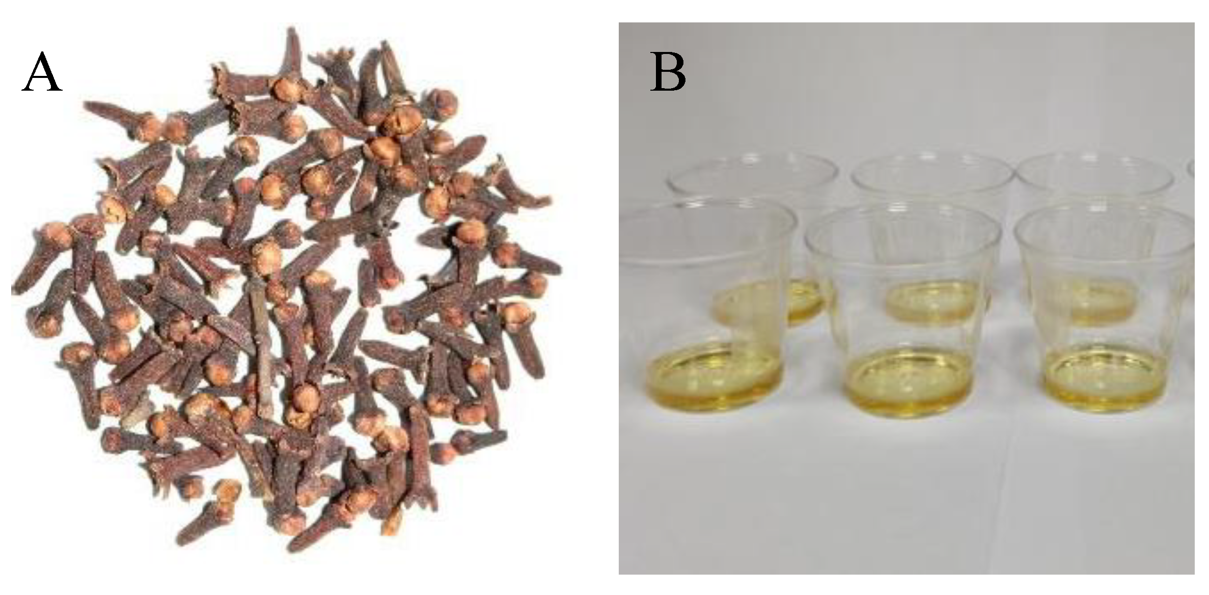 Molecules 28 07891 g001