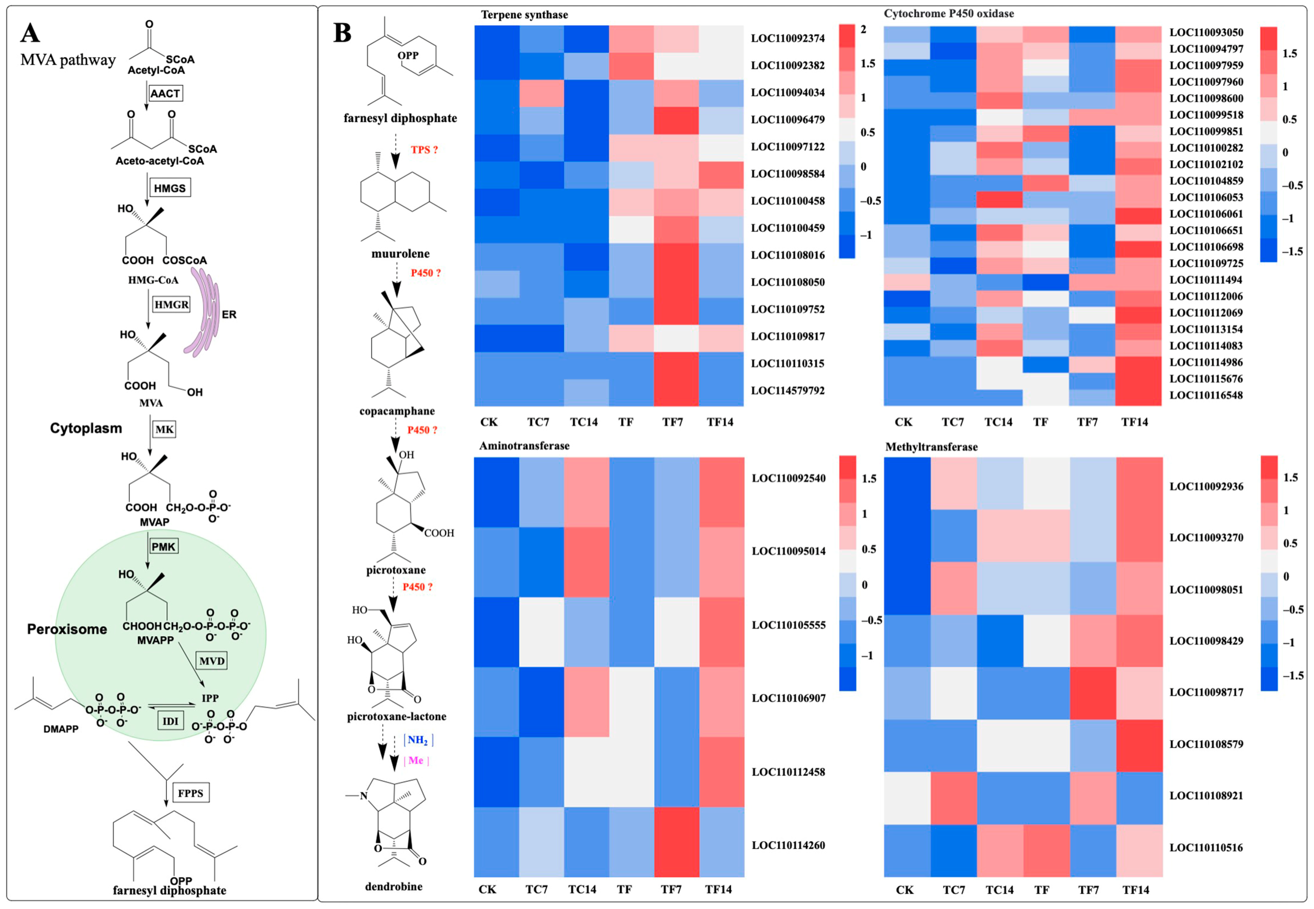 Molecules 28 07892 g010 Molecules 28 07892 g010
