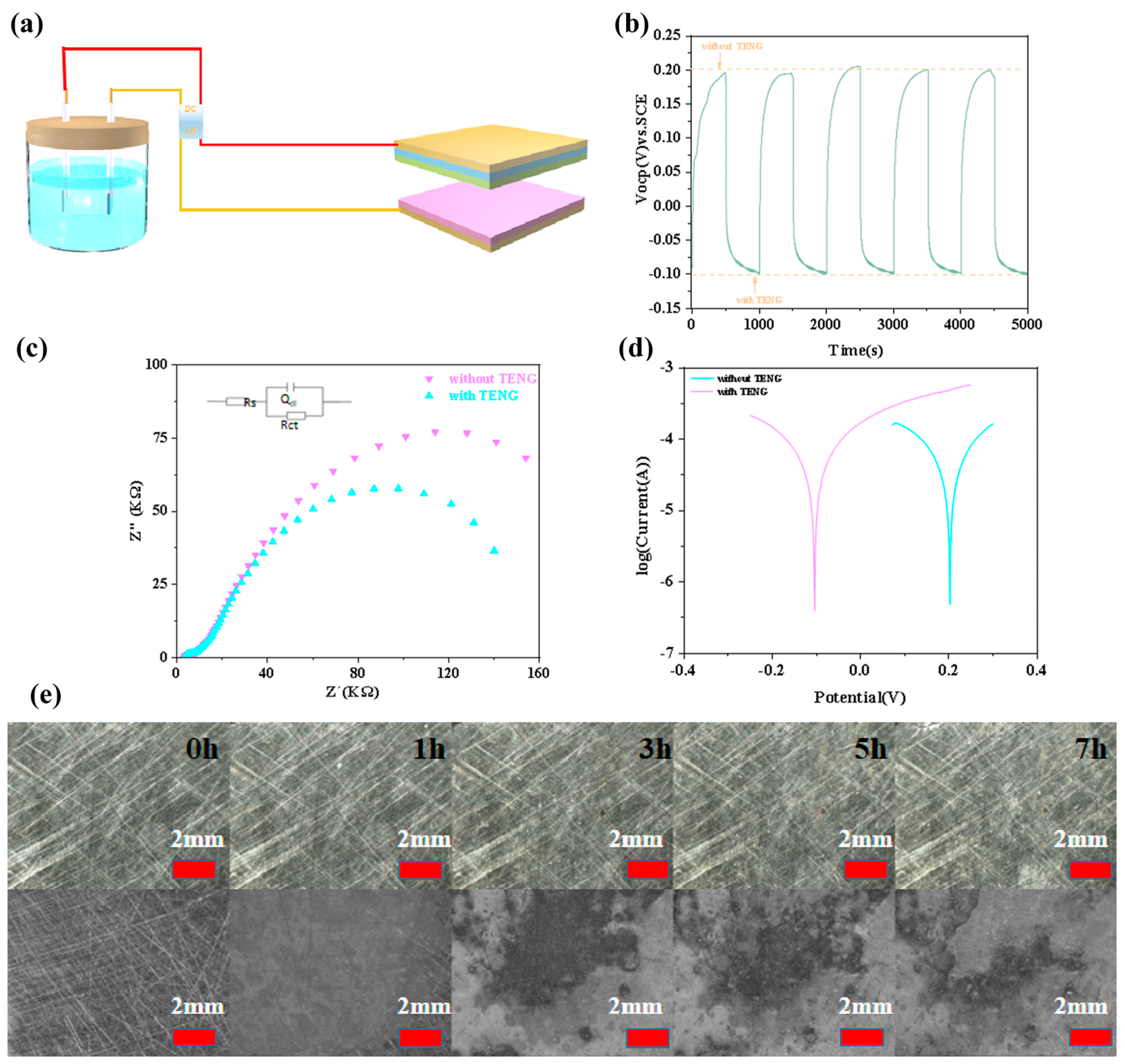 Molecules 28 07894 g006